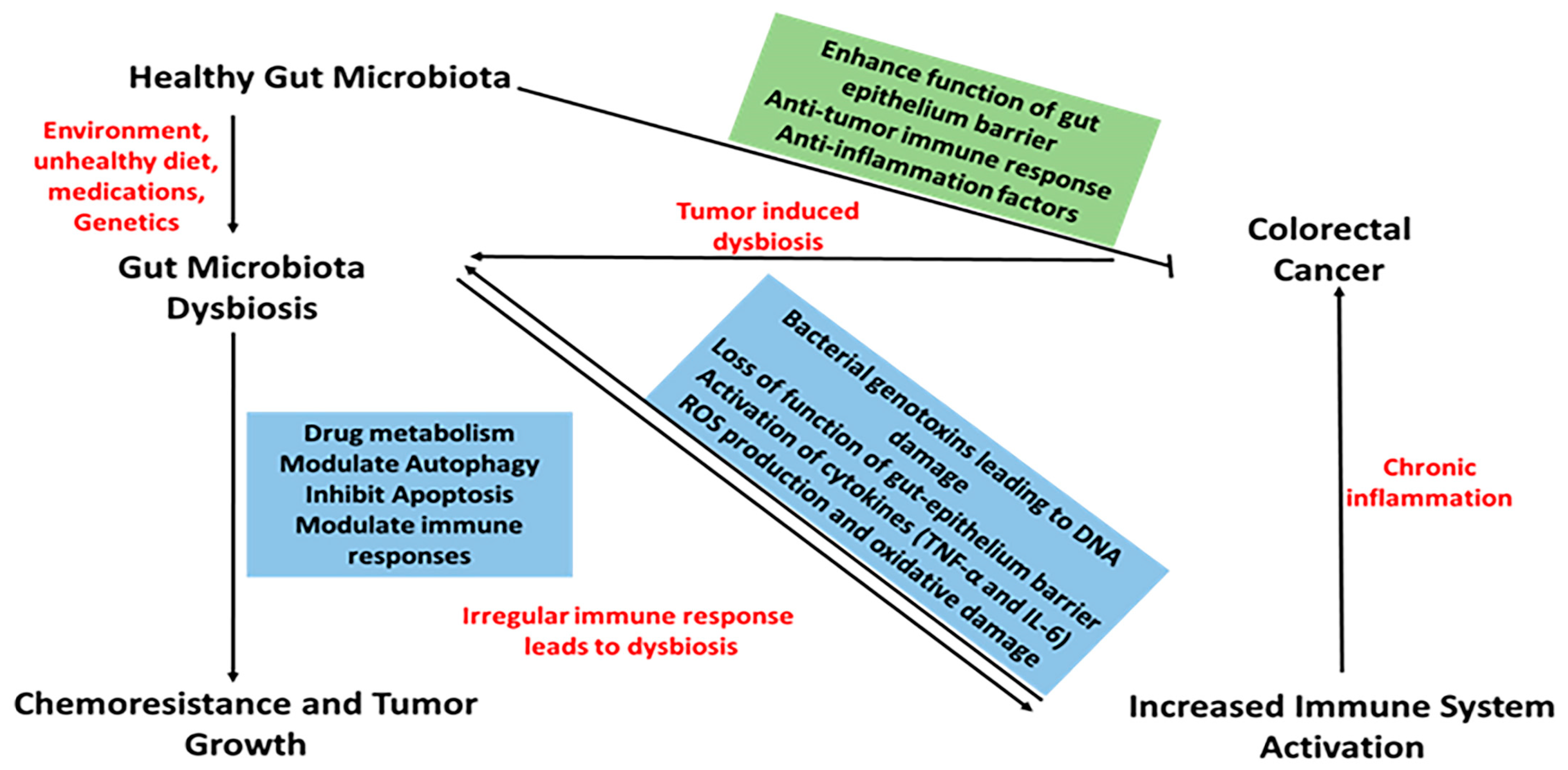 Biology 14 00251 g002