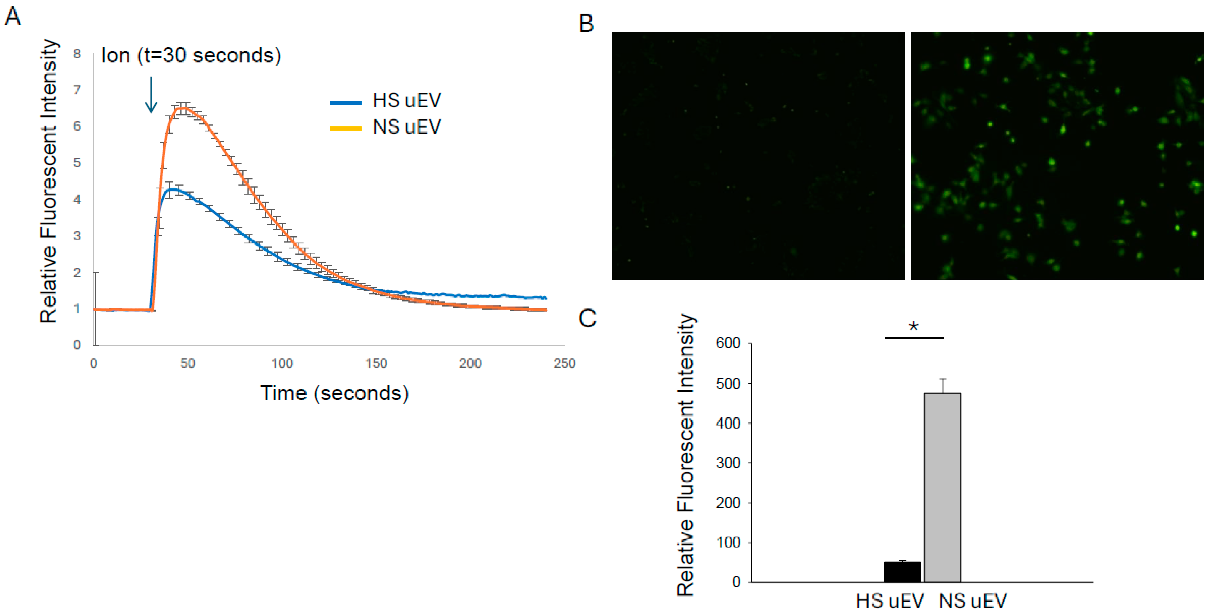 Biology 14 00252 g002