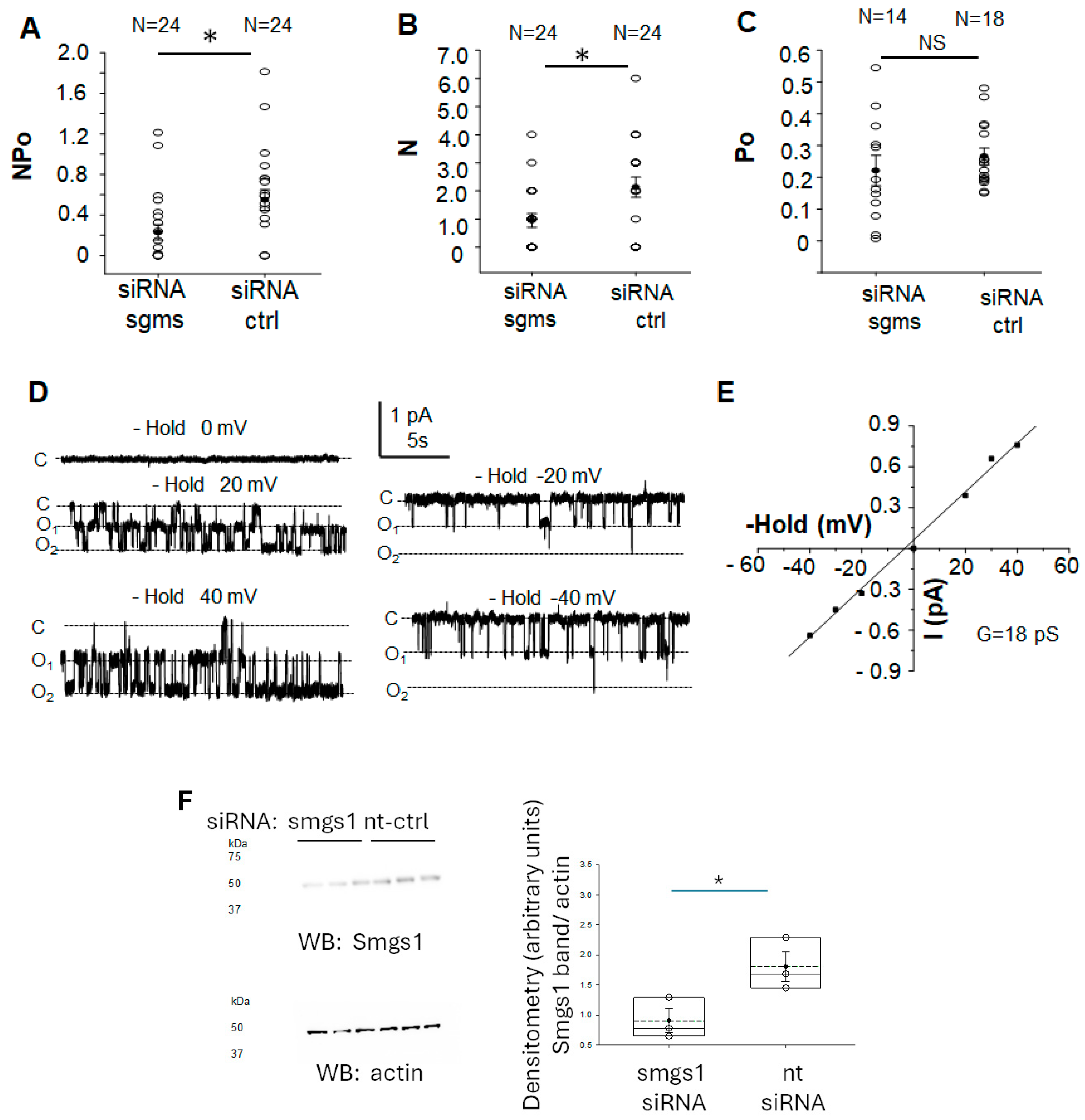 Biology 14 00252 g004
