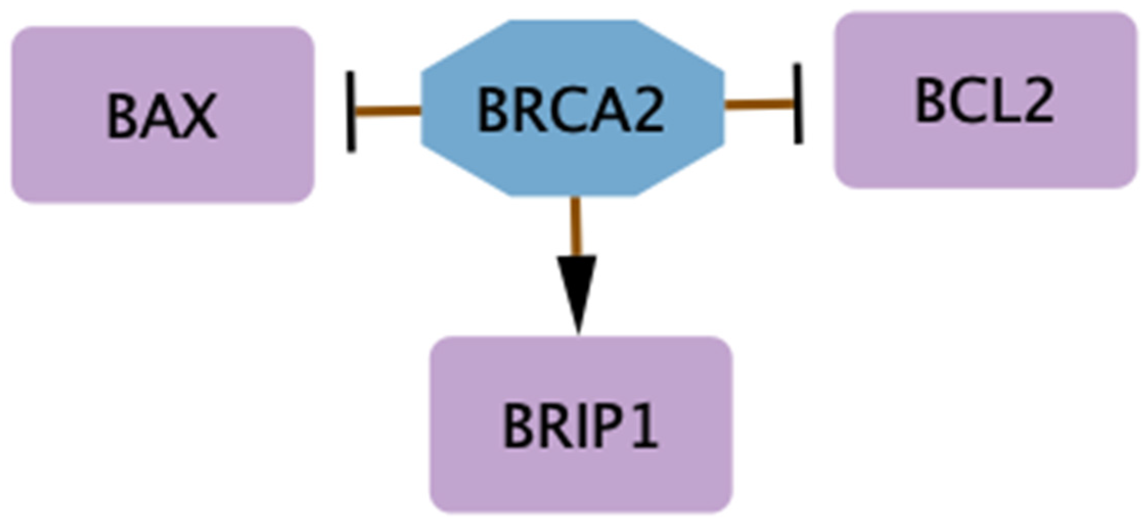 Biology 14 00253 g002 Biology 14 00253 g002