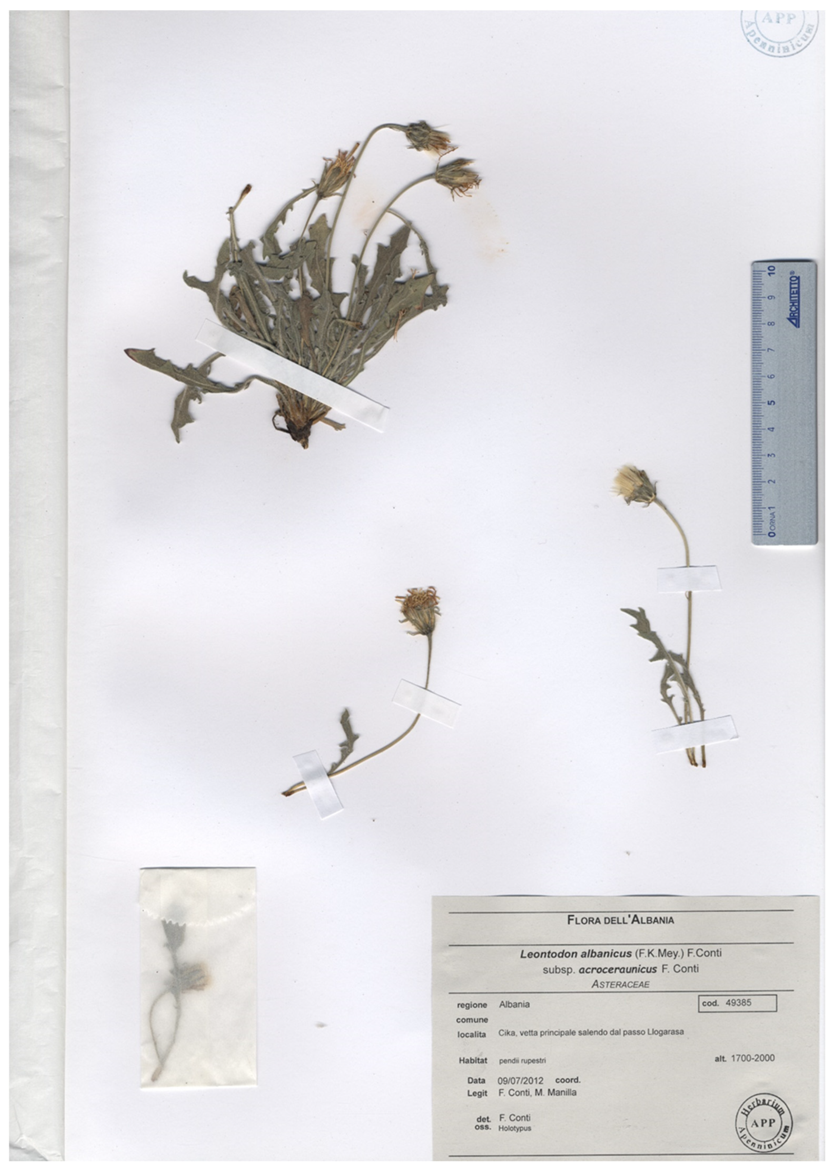 Biology 14 00259 g005