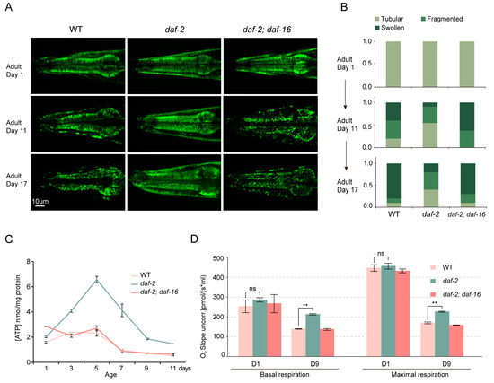 Biology 14 00279 g001
