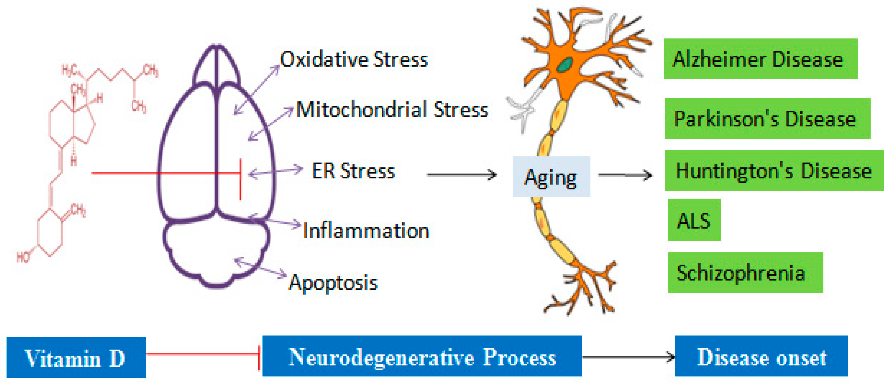 Biology 14 00280 g002