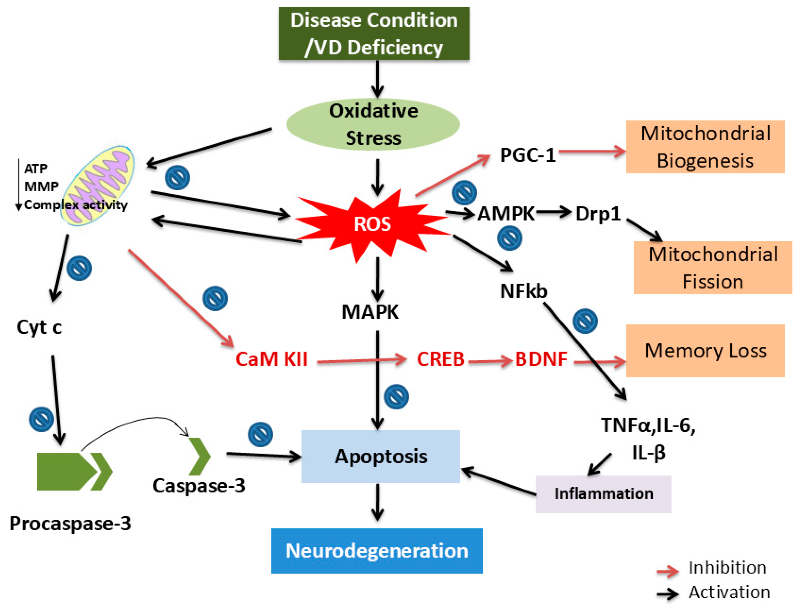 Biology 14 00280 g003