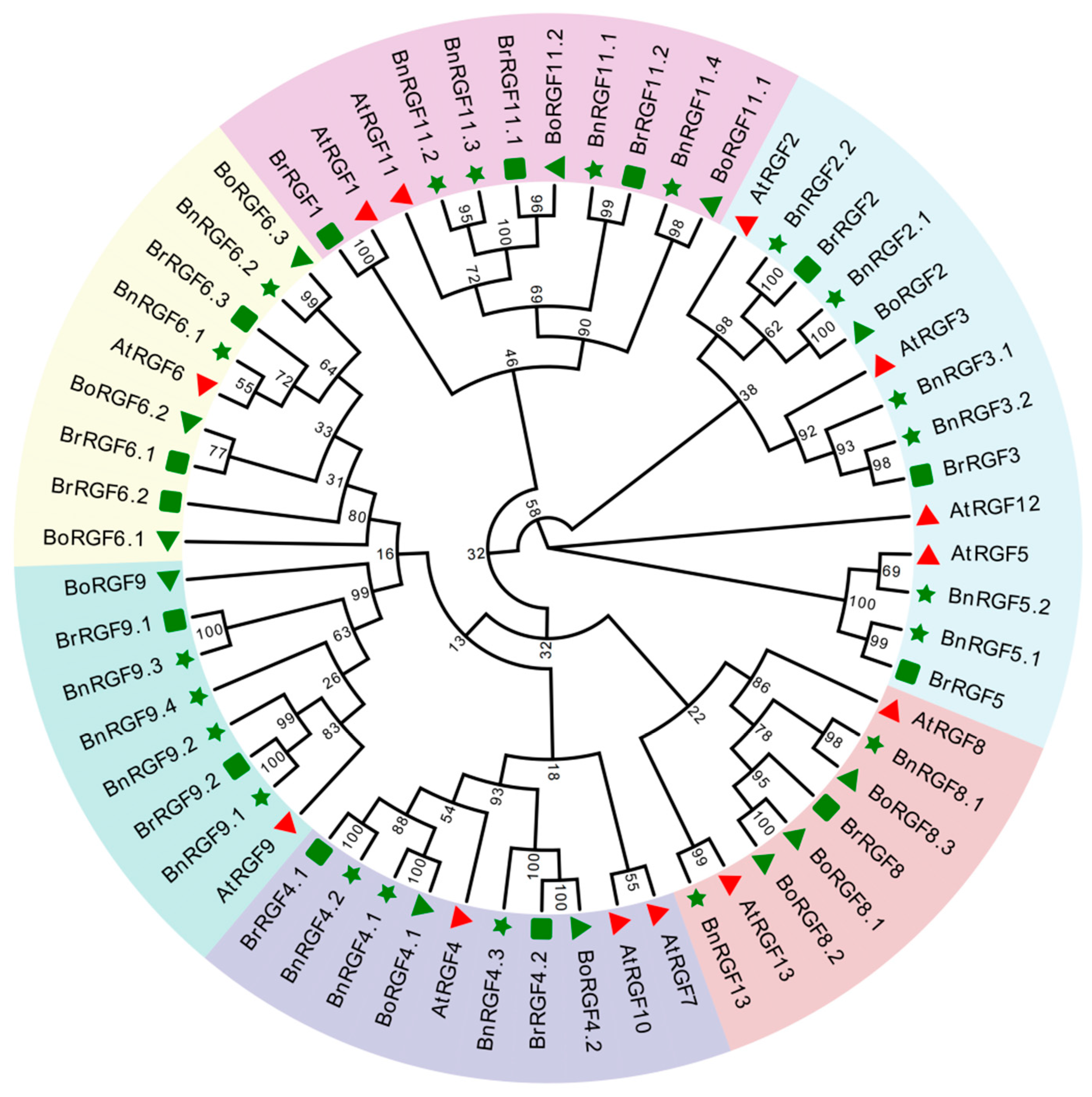 Biology 14 00281 g001