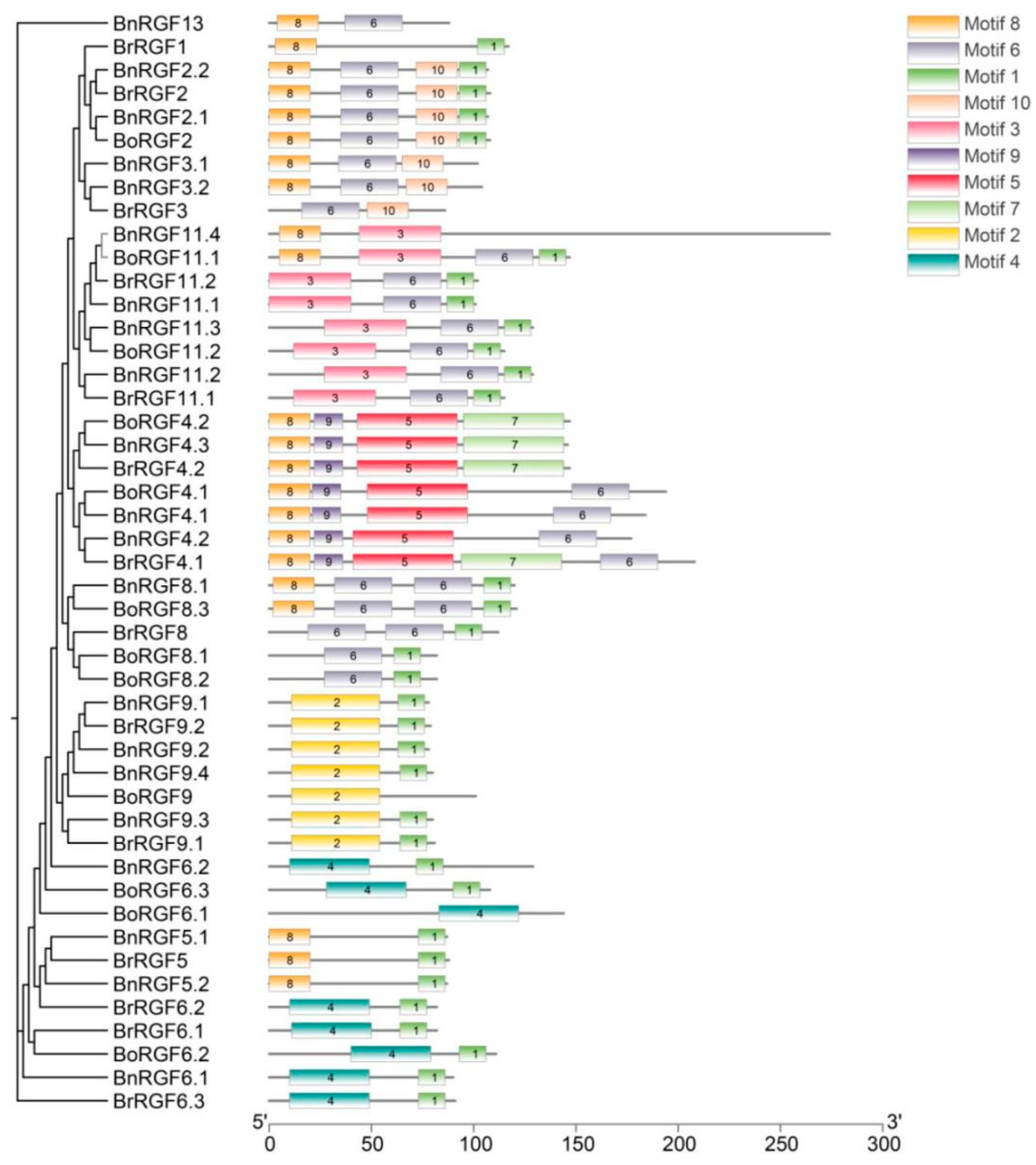Biology 14 00281 g002