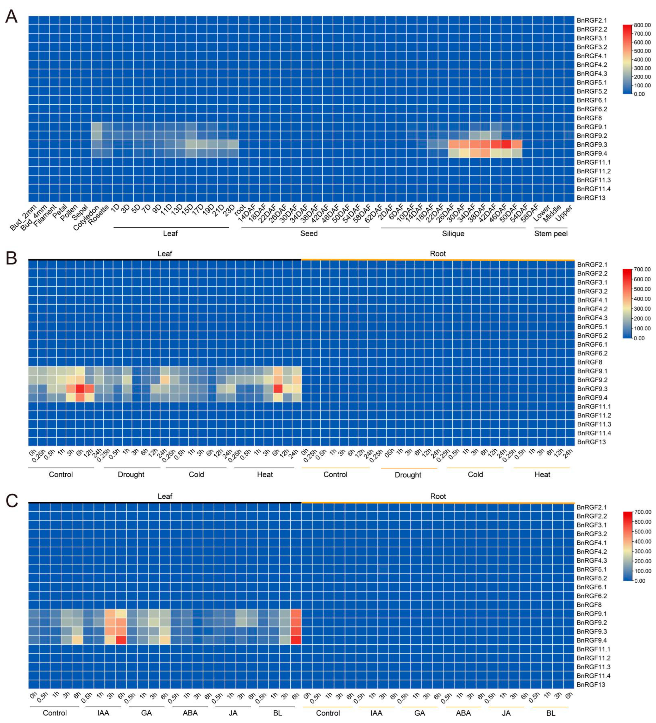 Biology 14 00281 g003