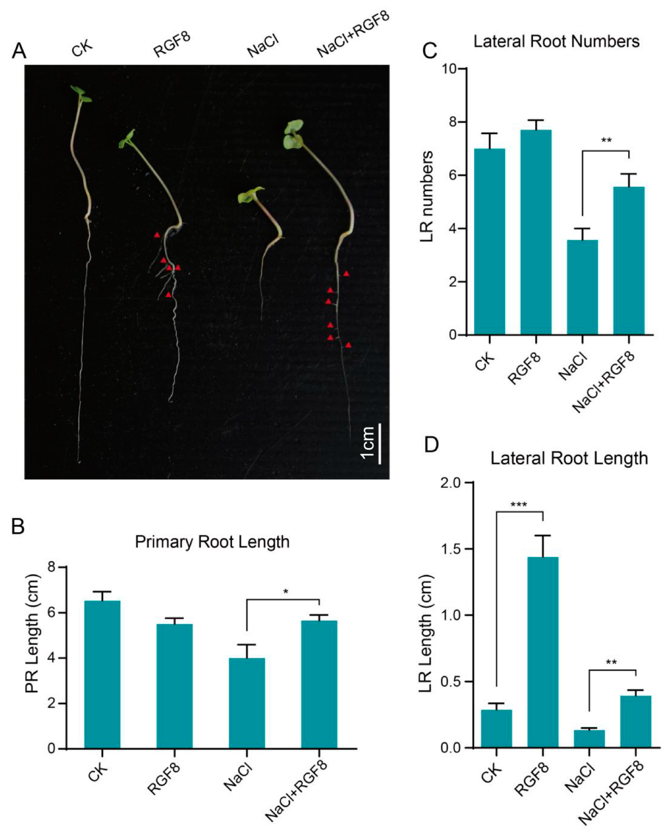 Biology 14 00281 g005