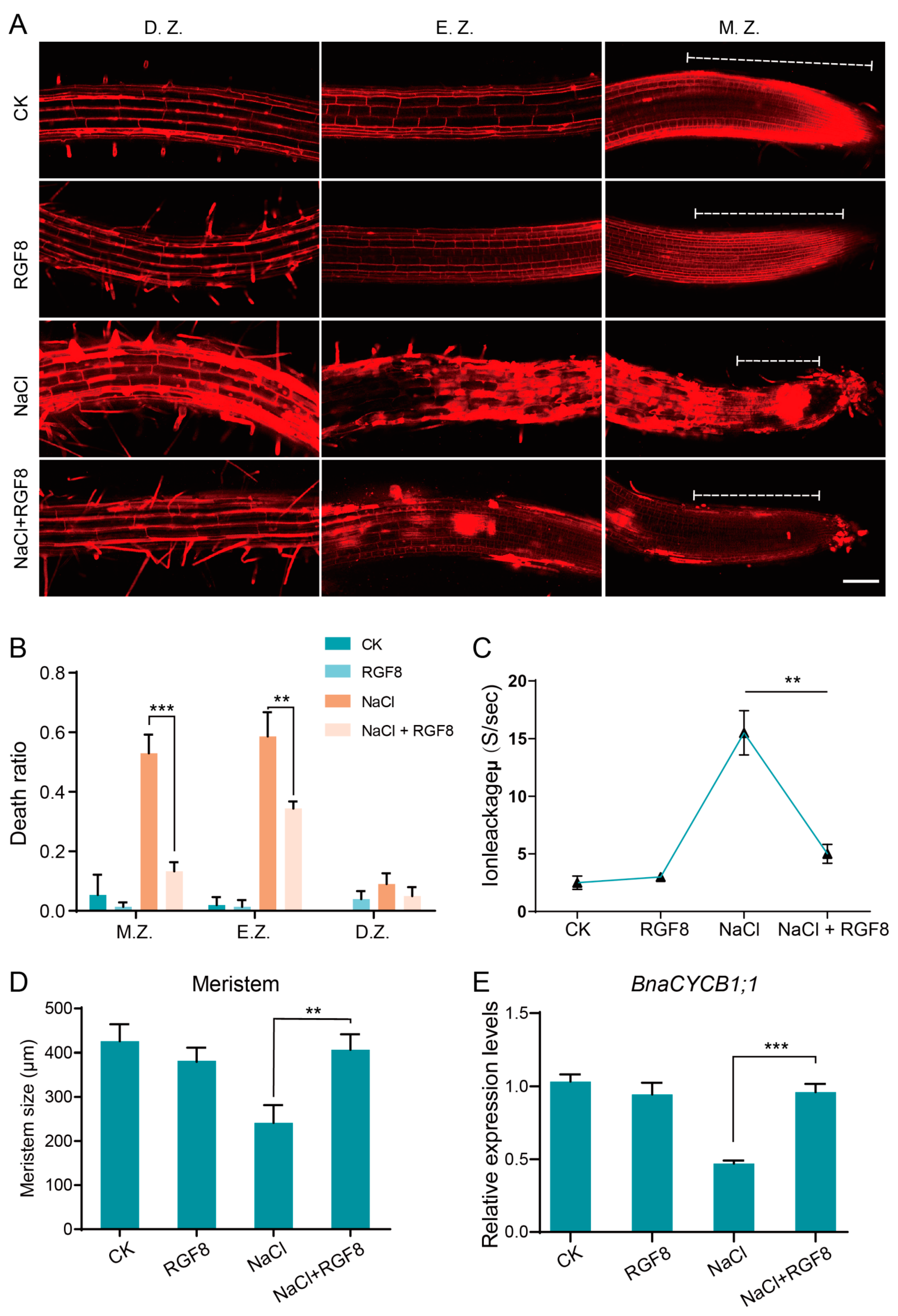 Biology 14 00281 g006