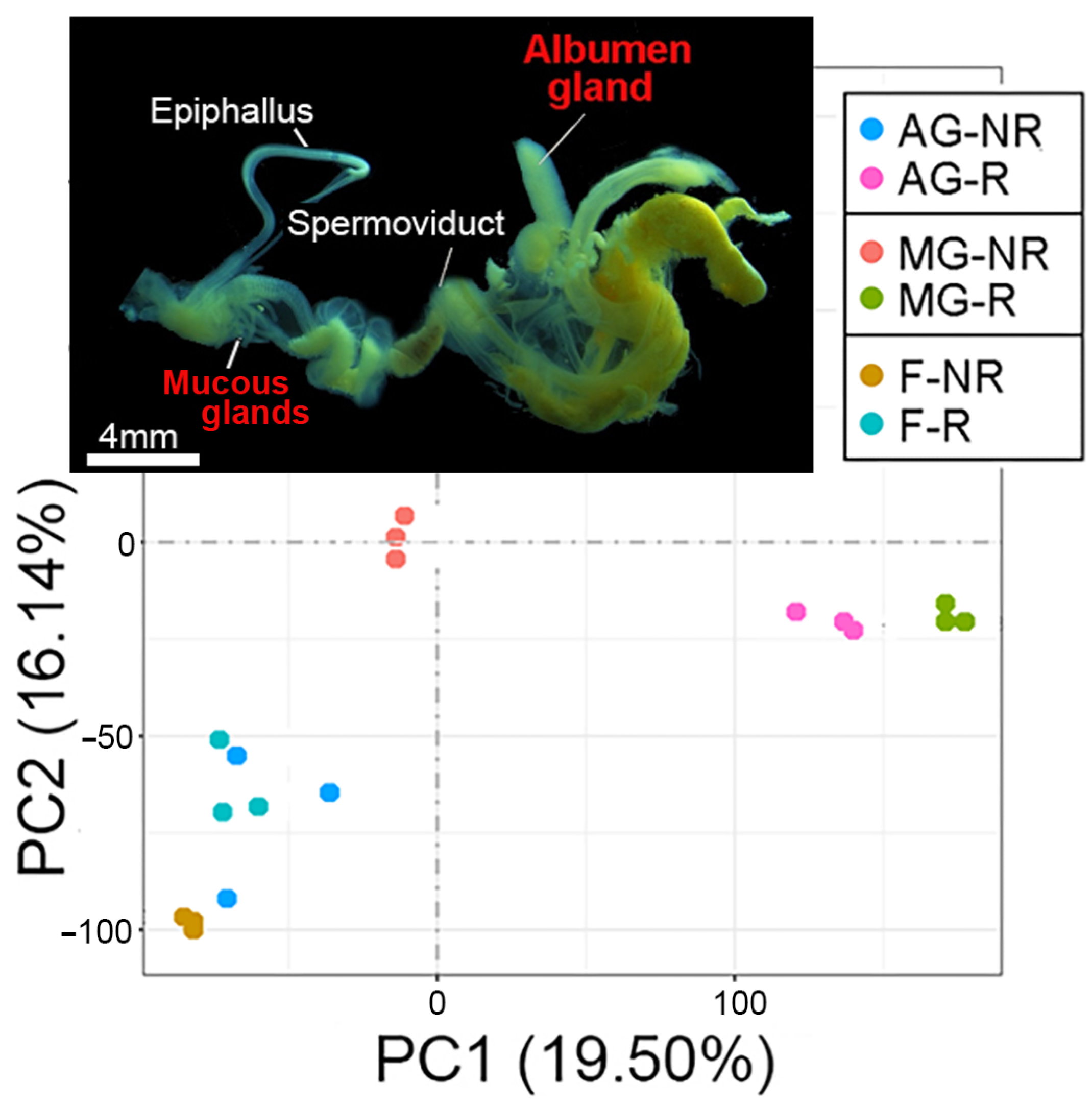 Biology 14 00294 g002