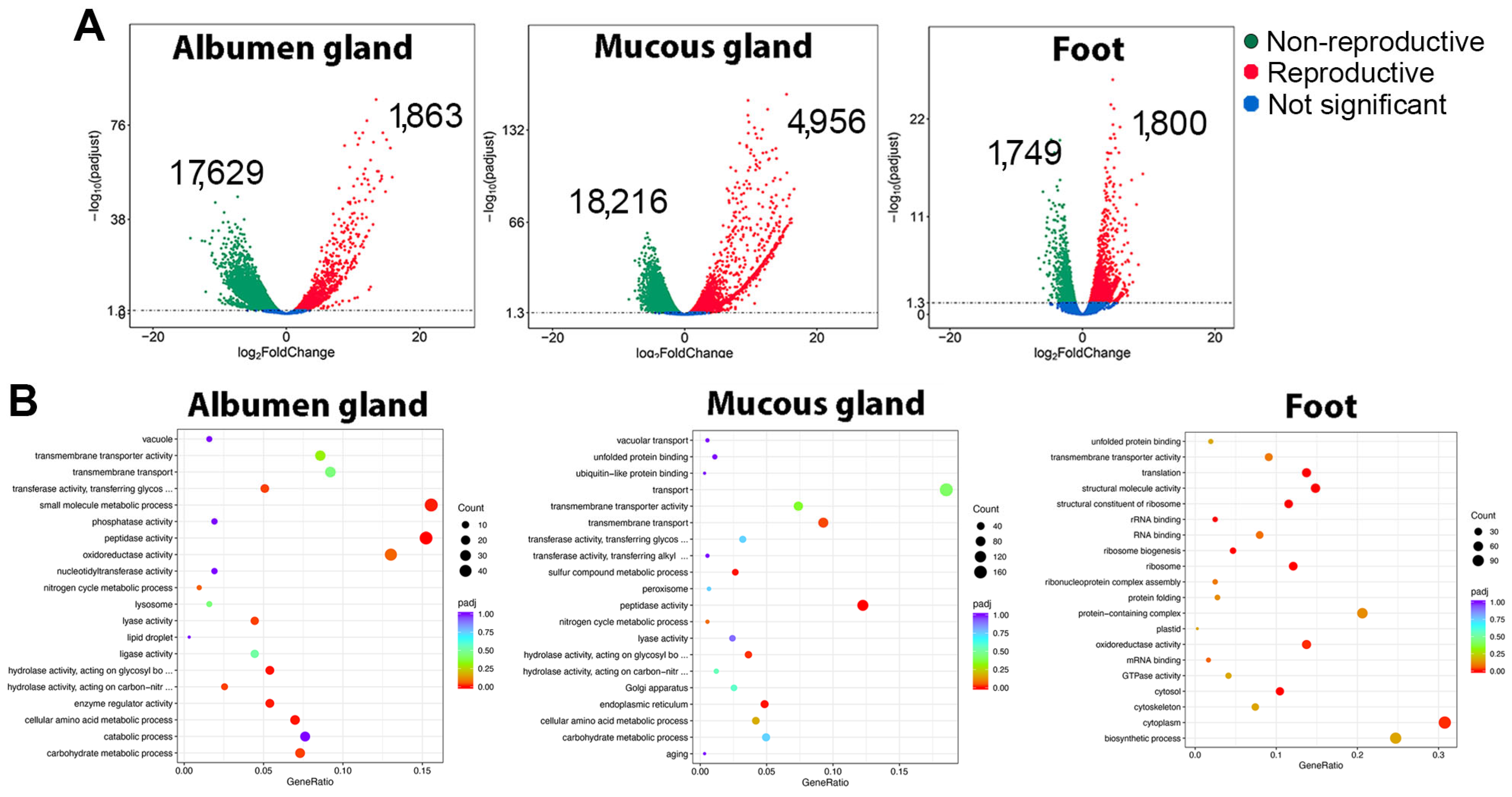 Biology 14 00294 g003