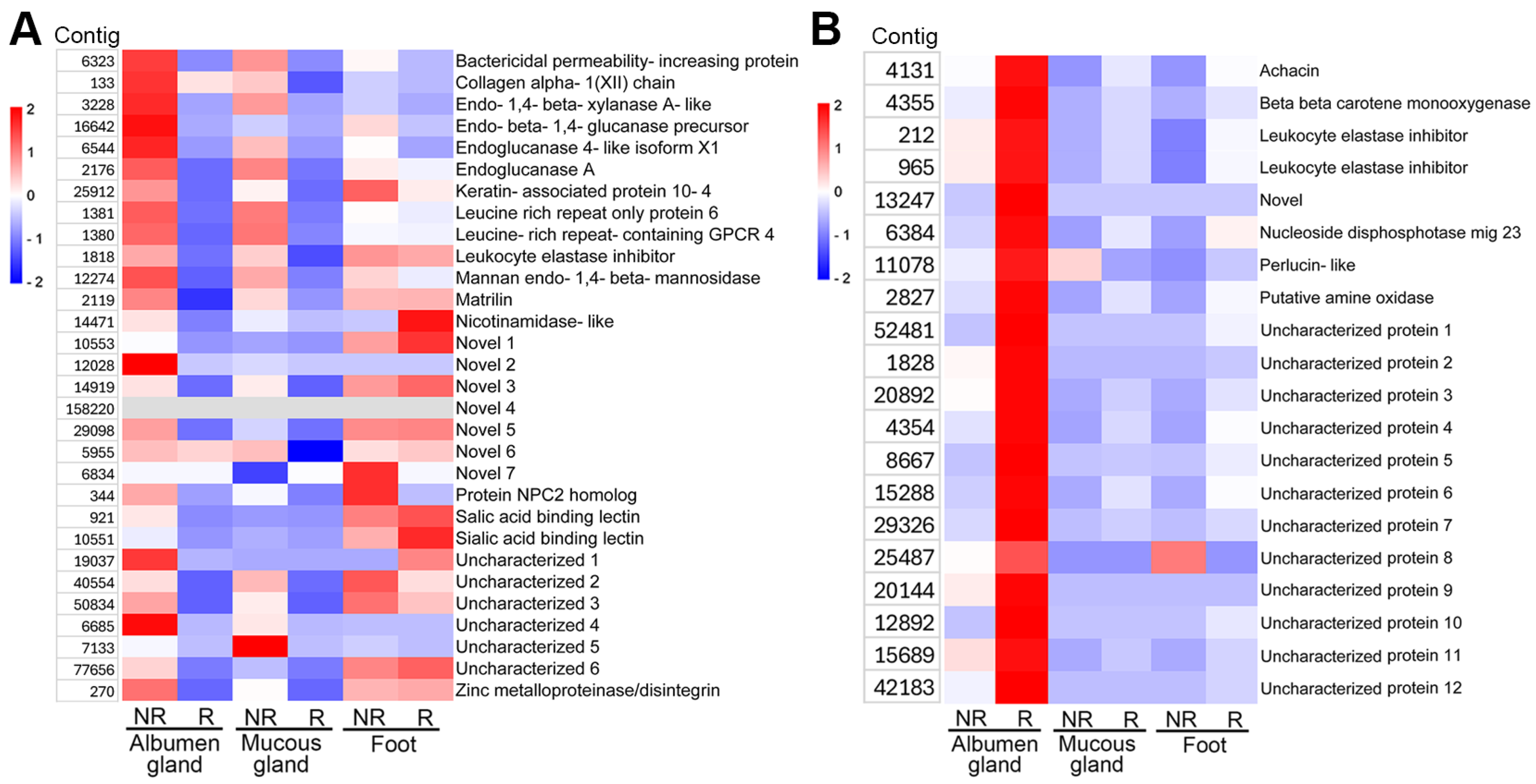 Biology 14 00294 g004
