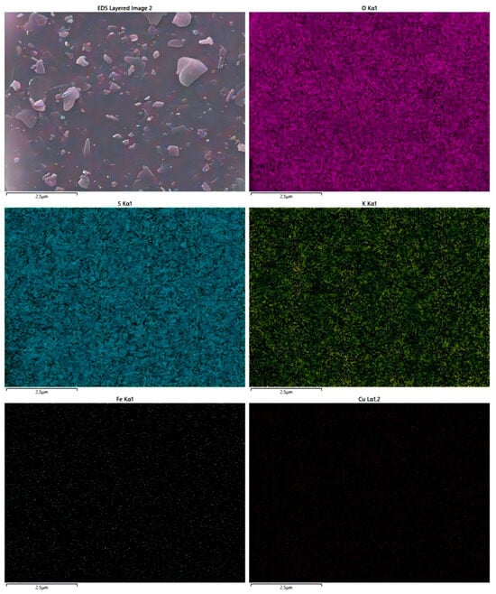 Biology 14 00300 g0a3