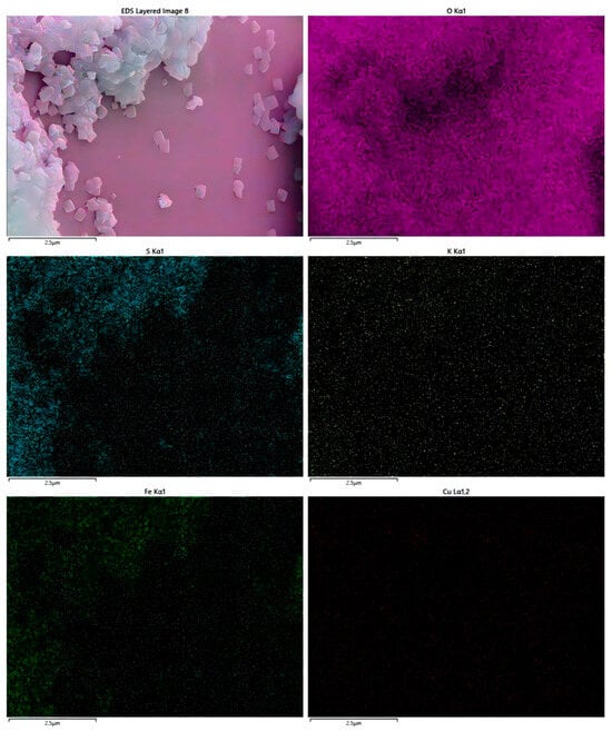 Biology 14 00300 g0a4