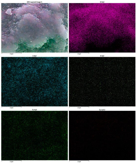 Biology 14 00300 g0a5