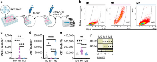 Biology 14 00320 g001