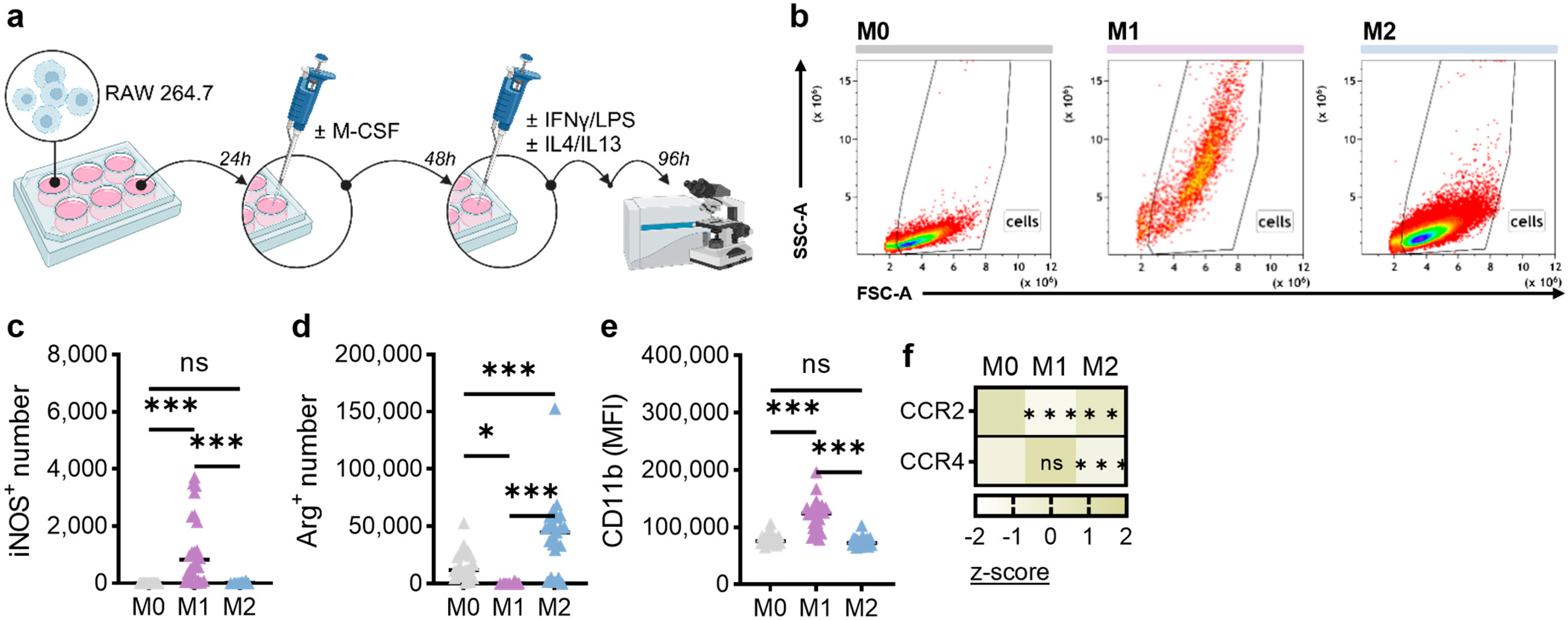 Biology 14 00320 g001