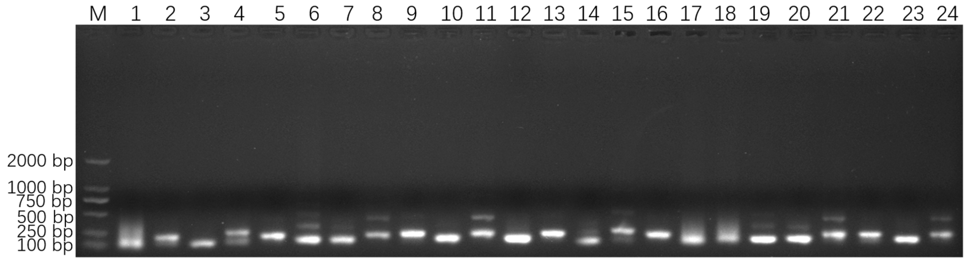 Biology 14 00330 g002