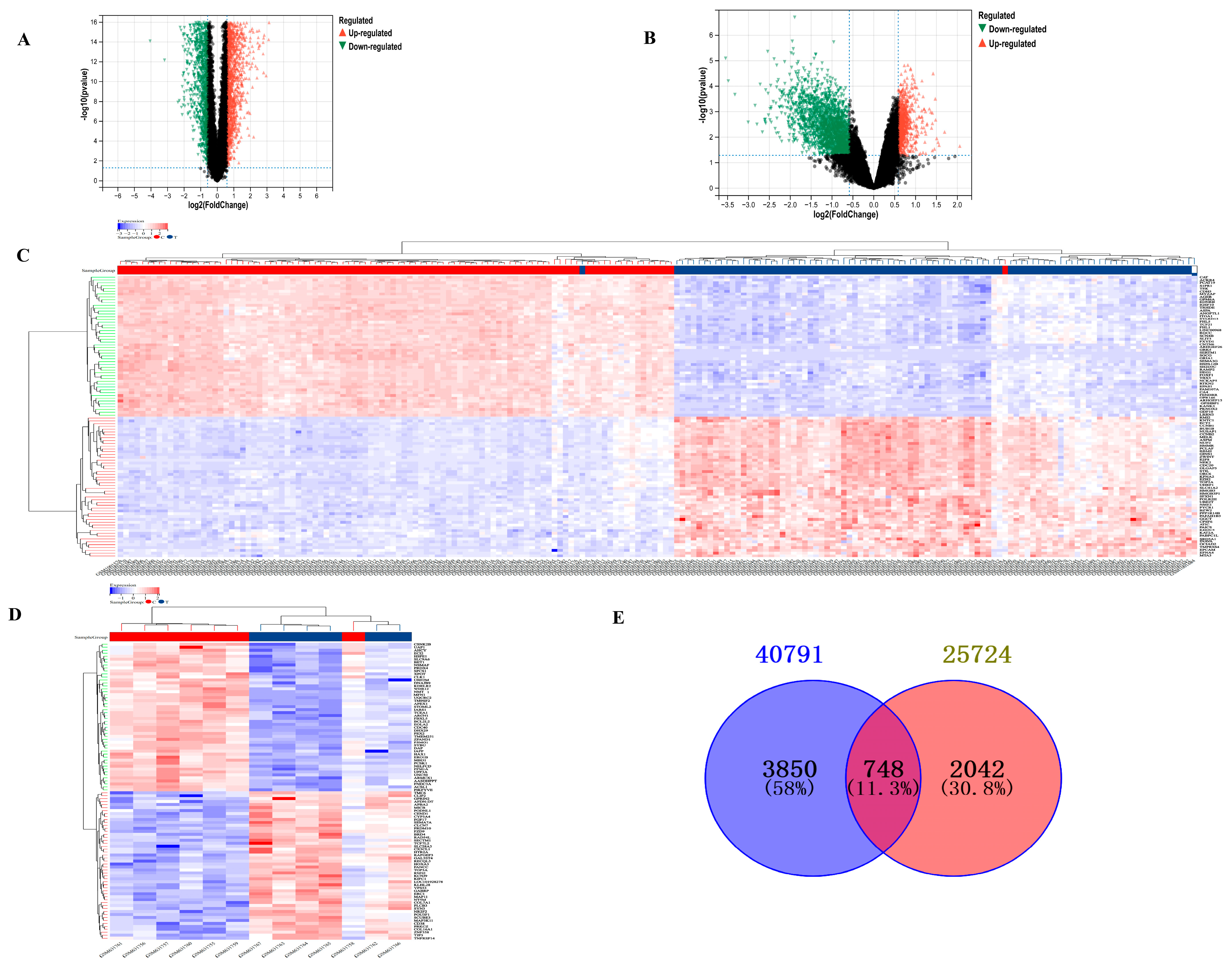 Biology 14 00331 g001