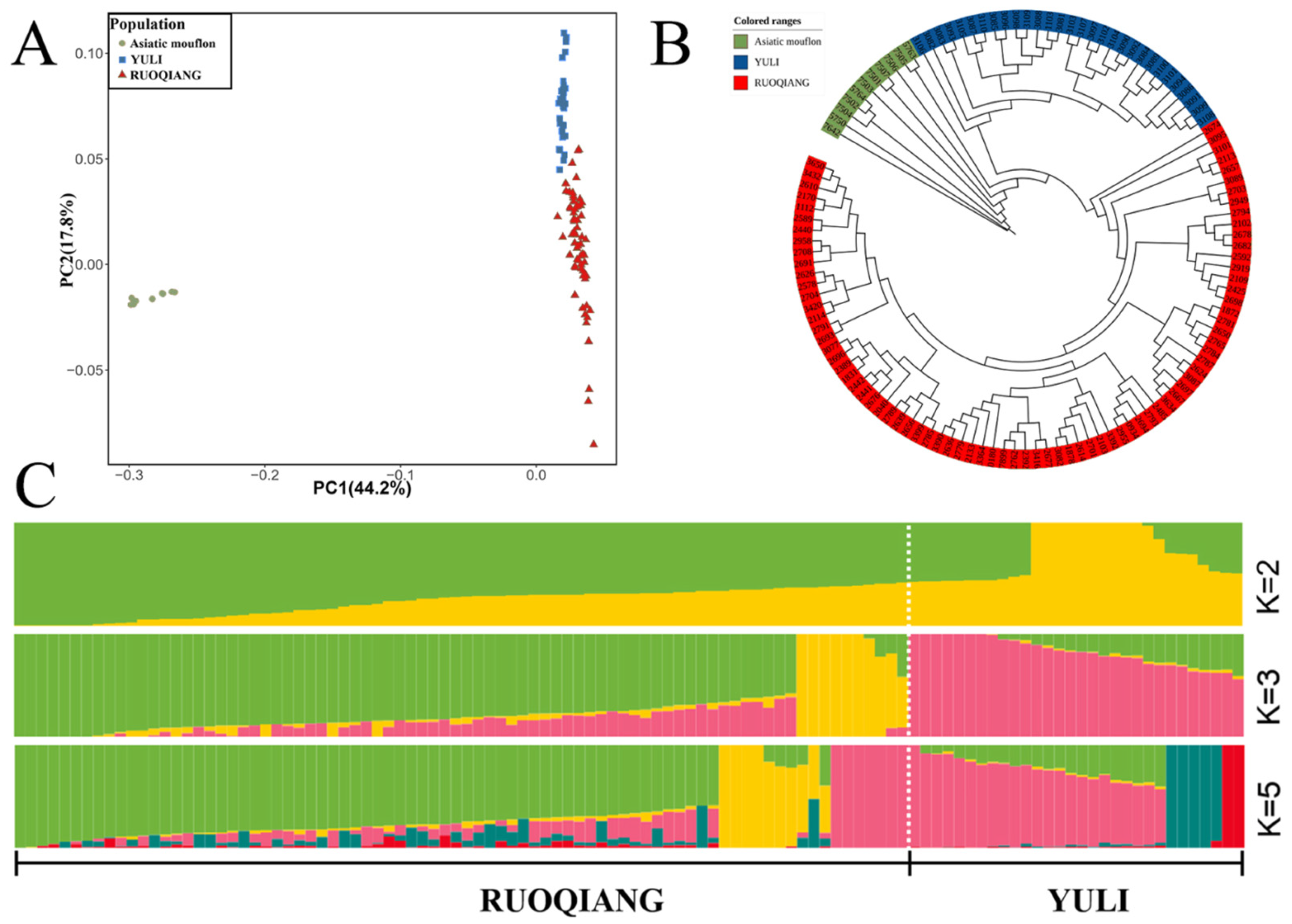 Biology 14 00337 g004