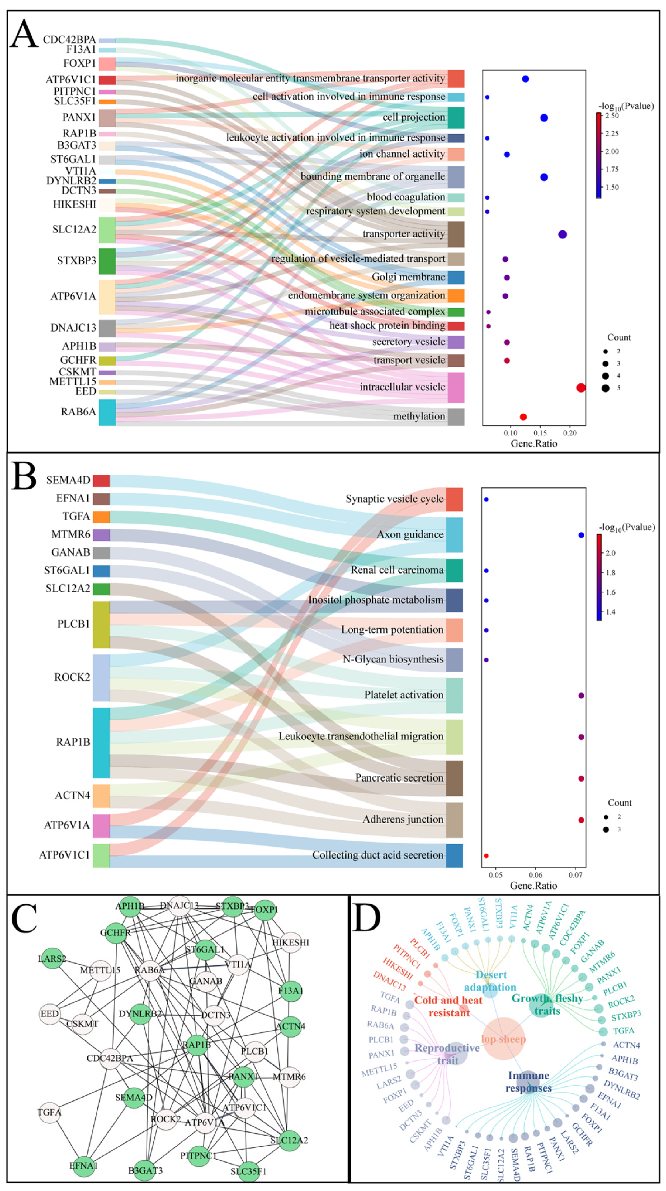 Biology 14 00337 g006