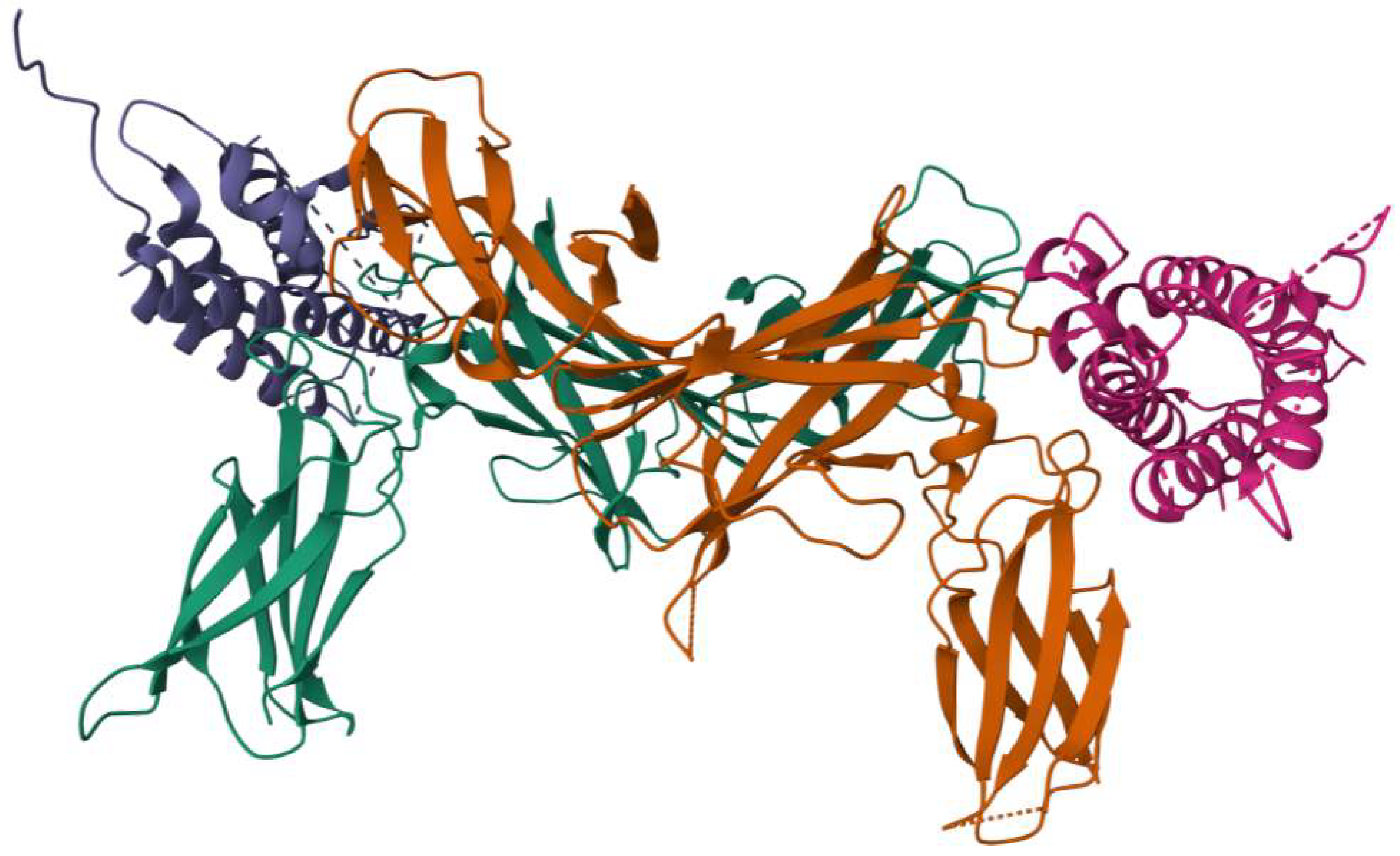 Biology 14 00347 g001