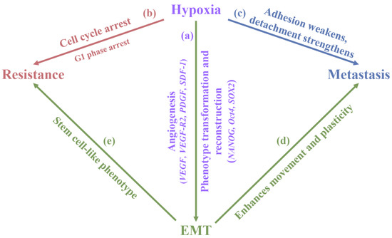 Biology 14 00351 g006