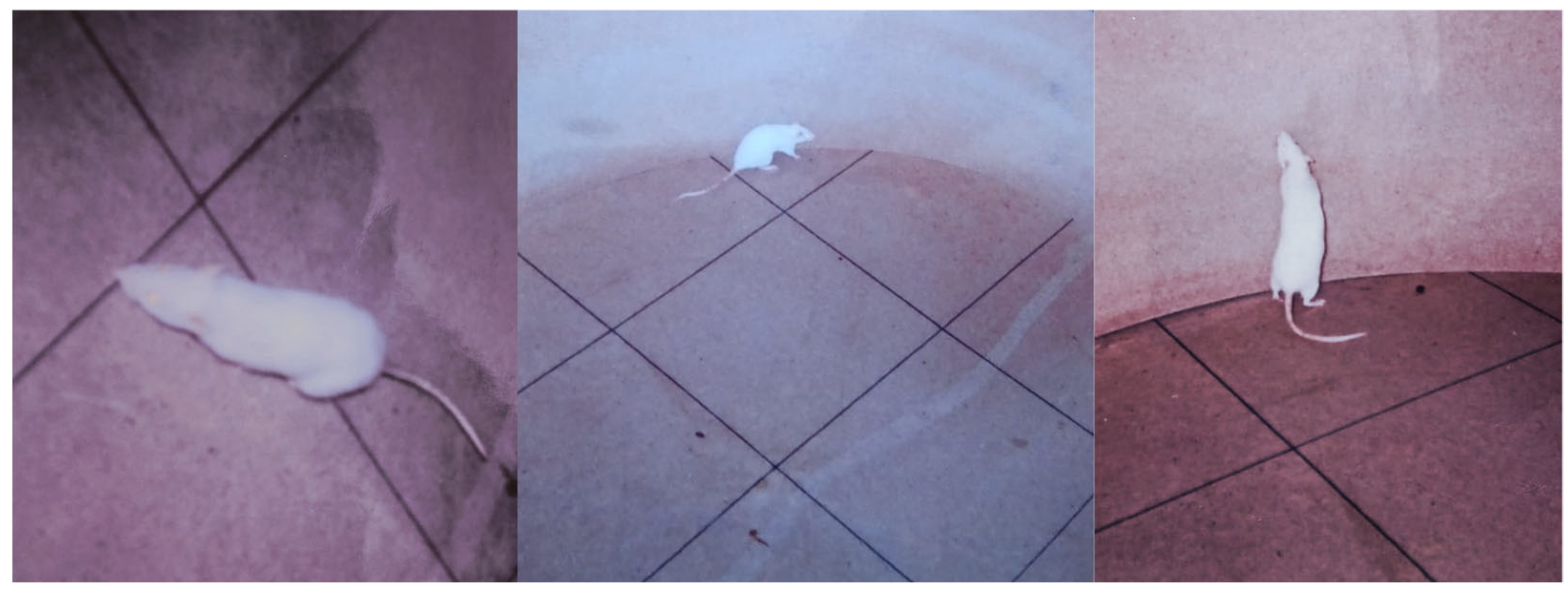 Biology 14 00359 g001