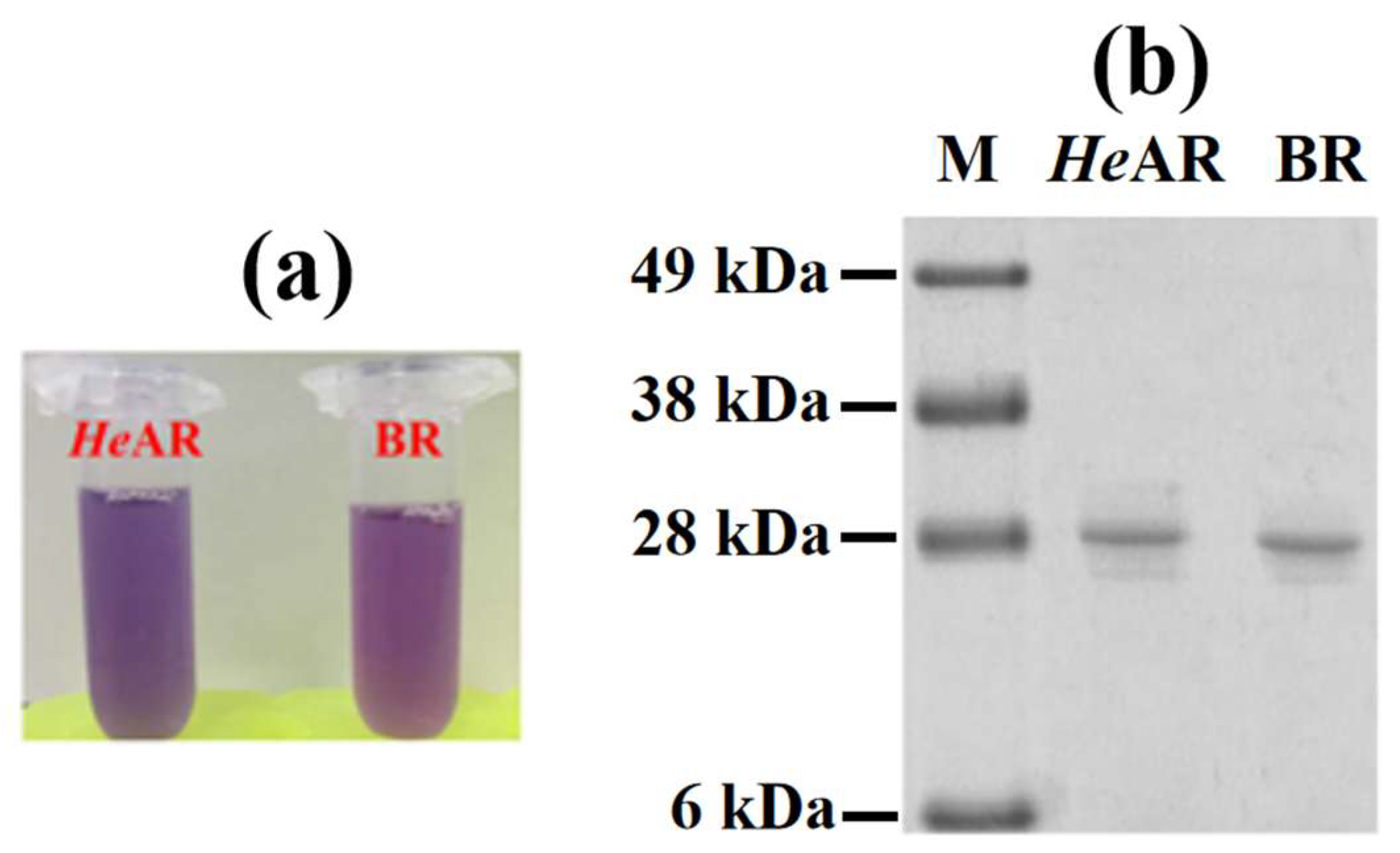Biology 14 00360 g001