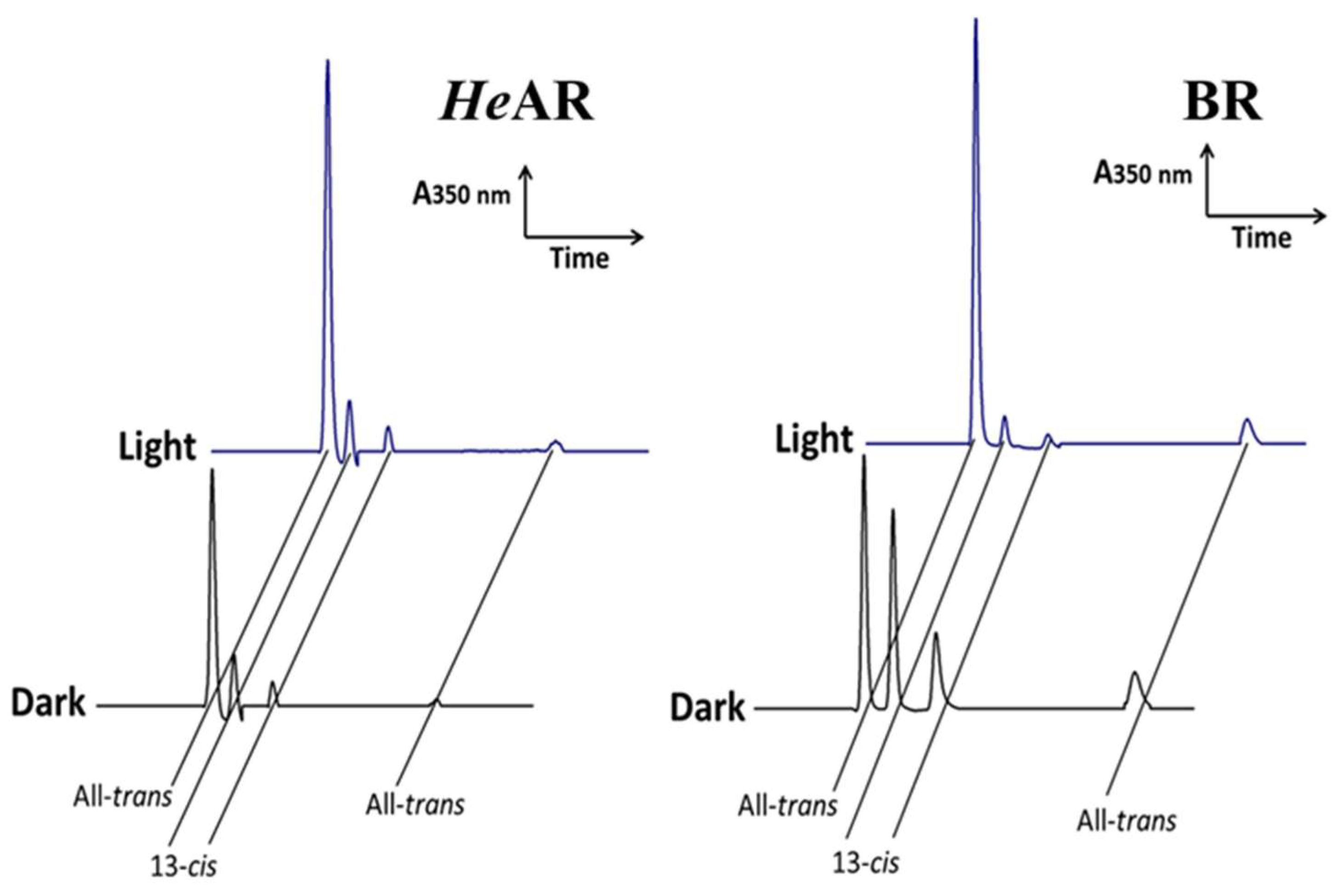 Biology 14 00360 g005