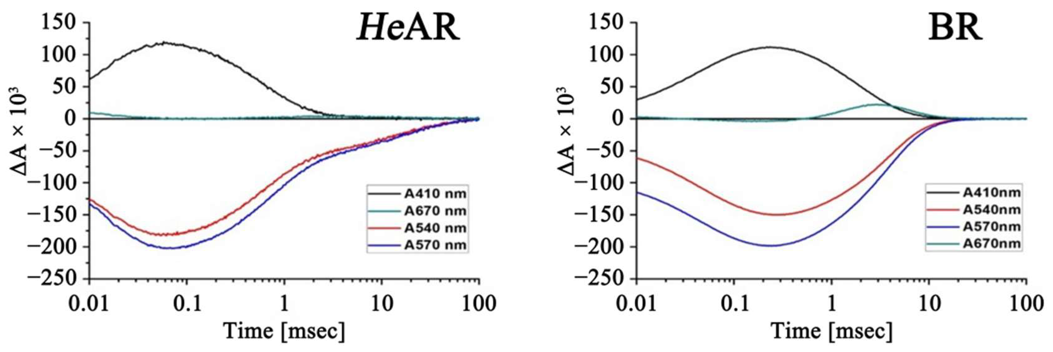 Biology 14 00360 g007