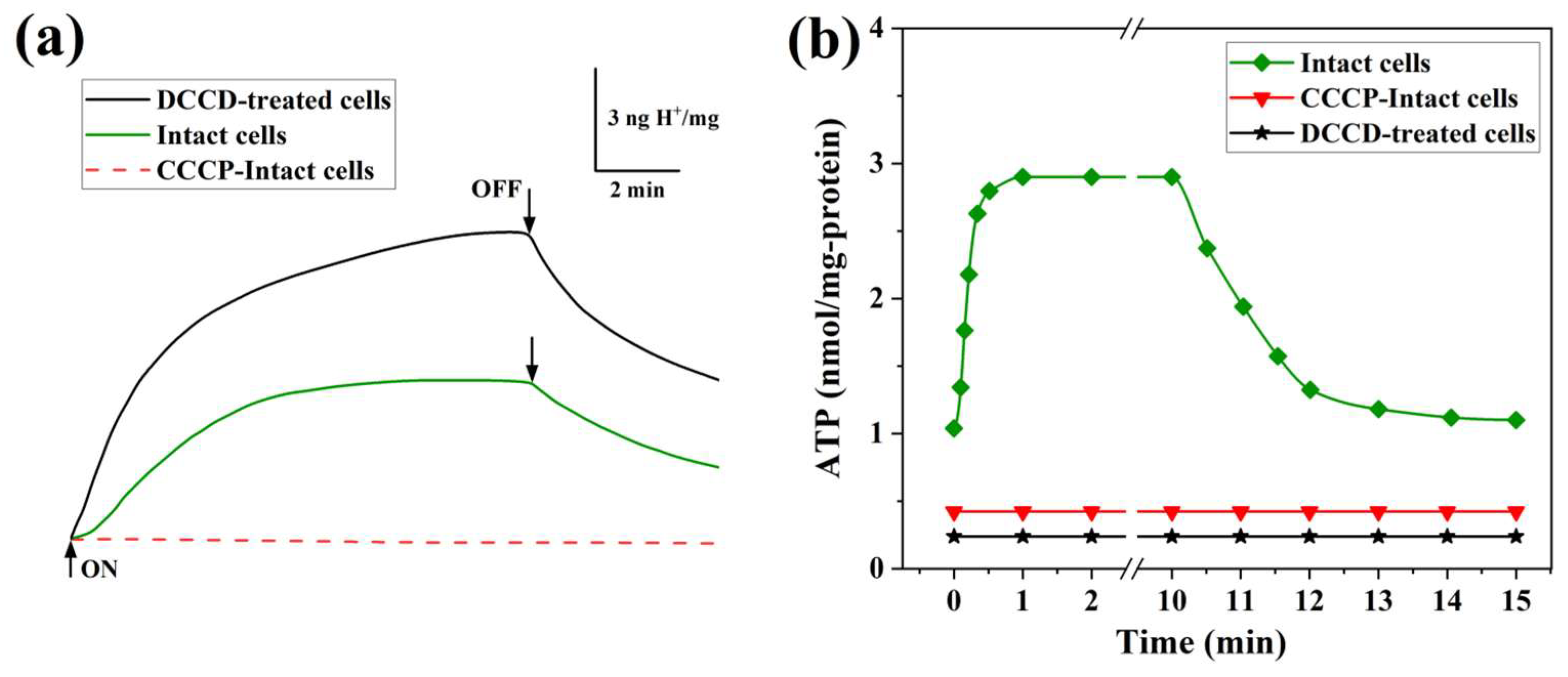 Biology 14 00360 g008