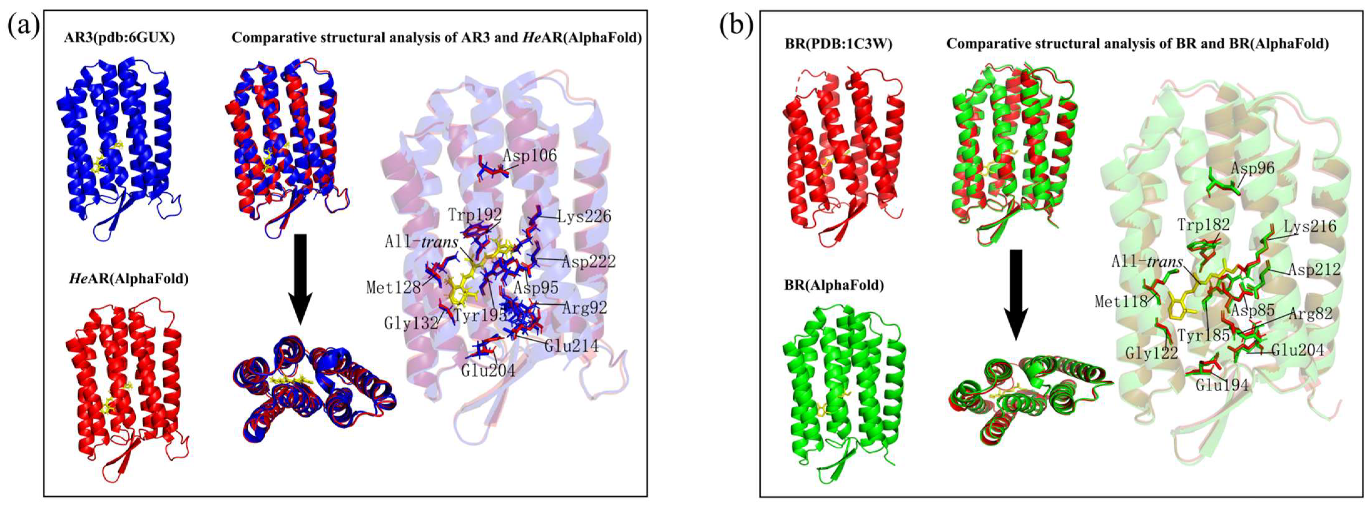 Biology 14 00360 g011