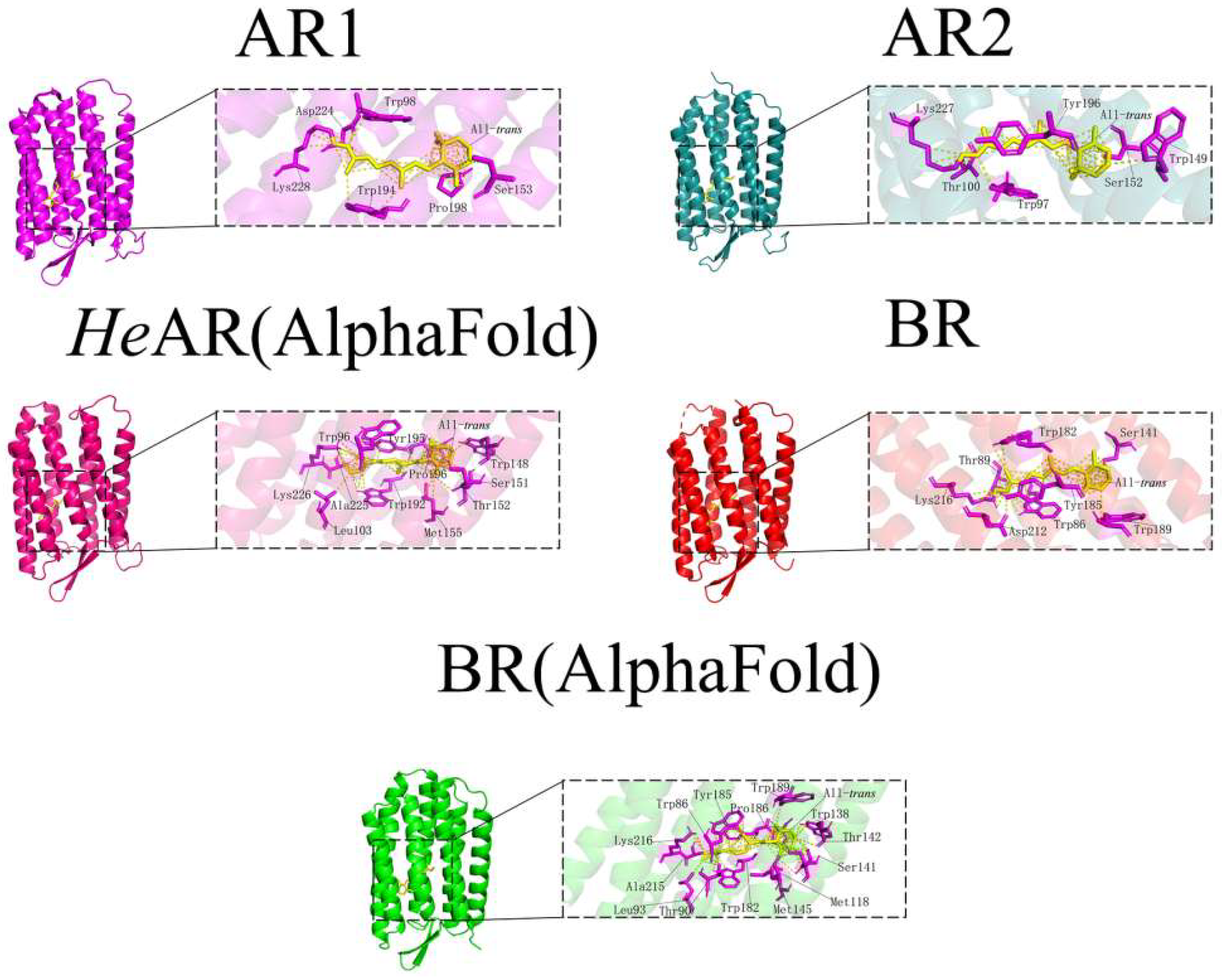 Biology 14 00360 g013