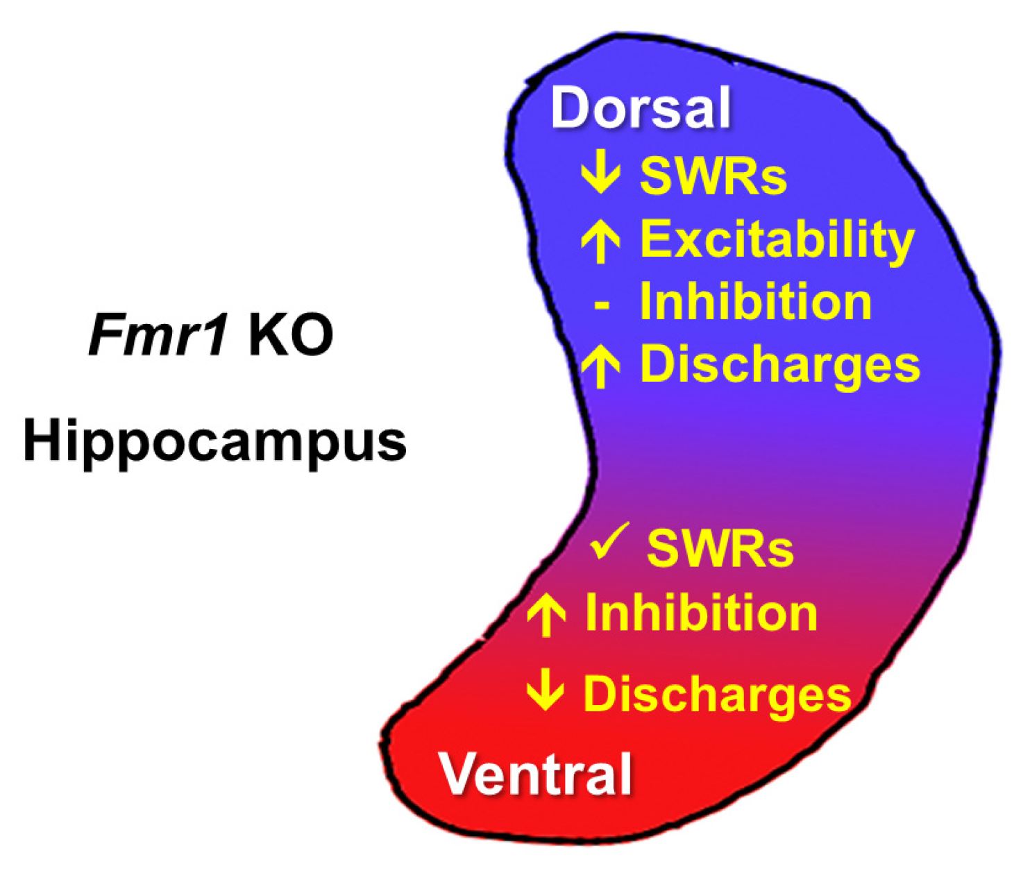 Biology 14 00363 g002