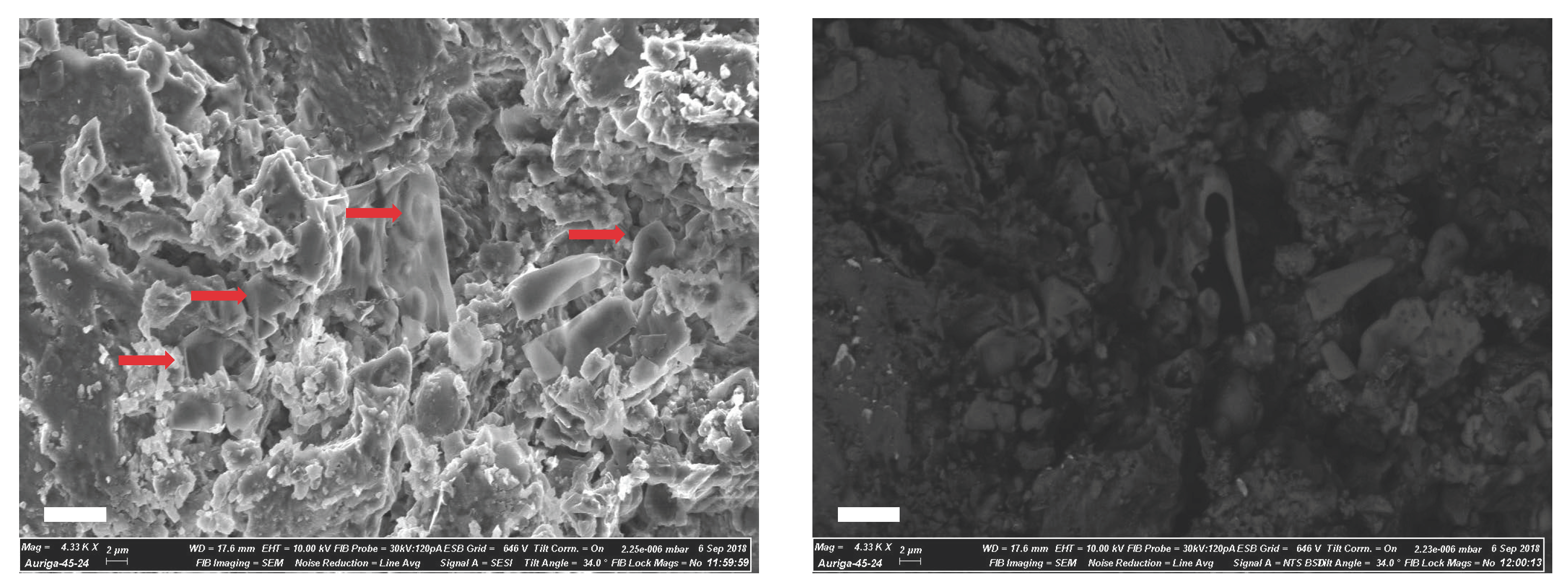 Biology 14 00370 g001