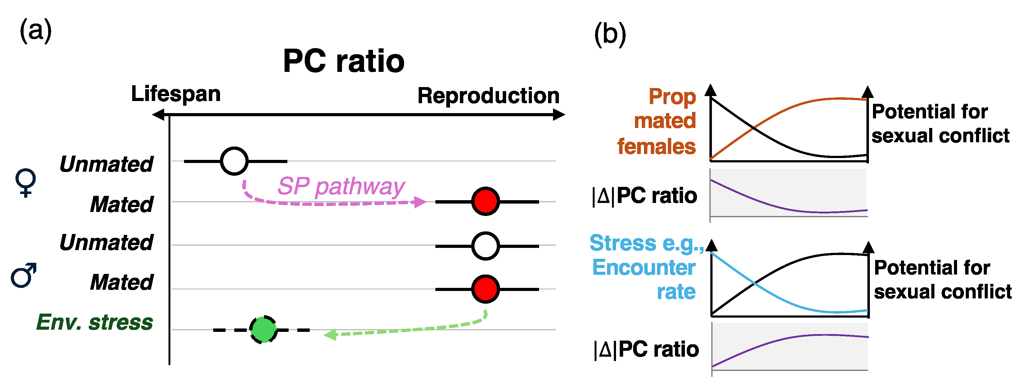 Biology 14 00384 g002
