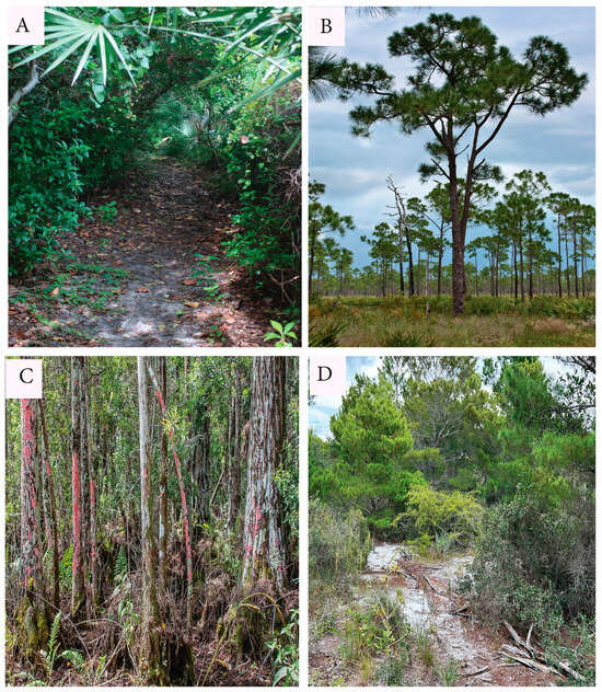 Biology 14 00391 g001