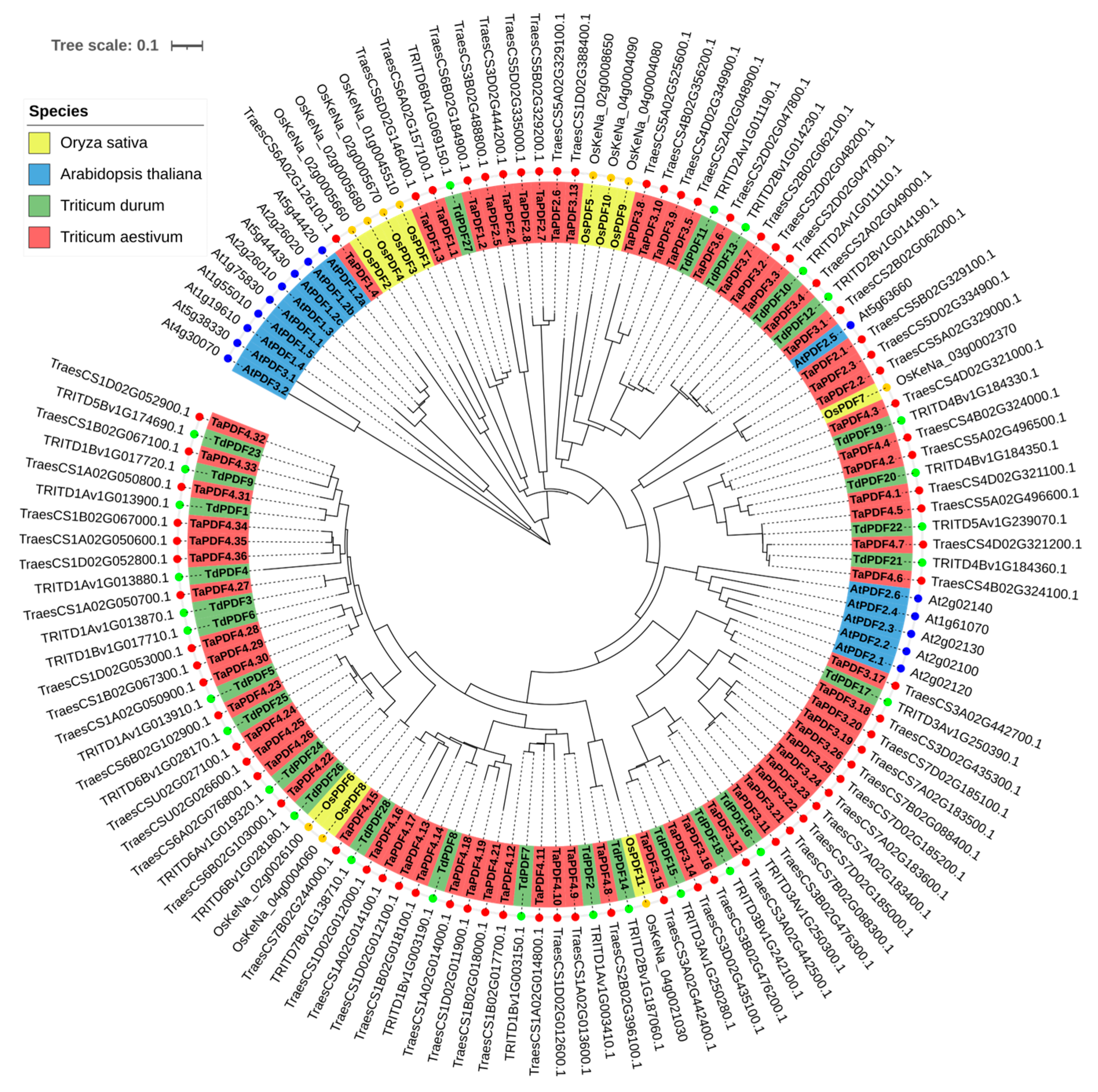 Biology 14 00404 g002