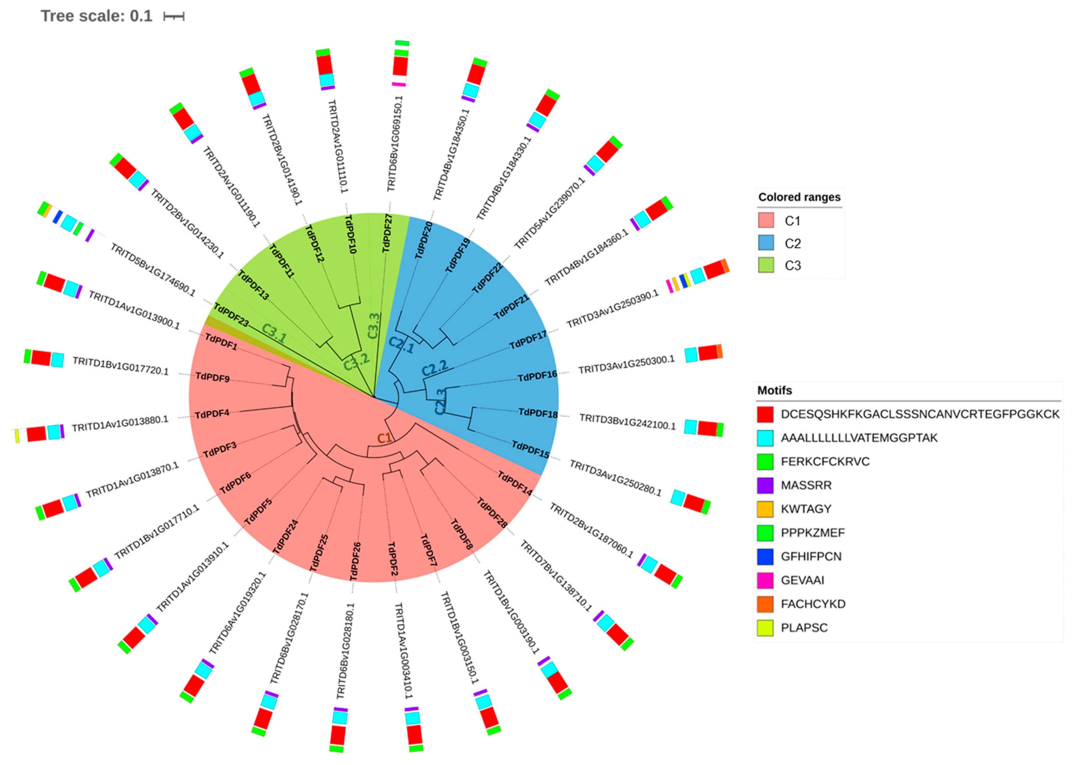Biology 14 00404 g003