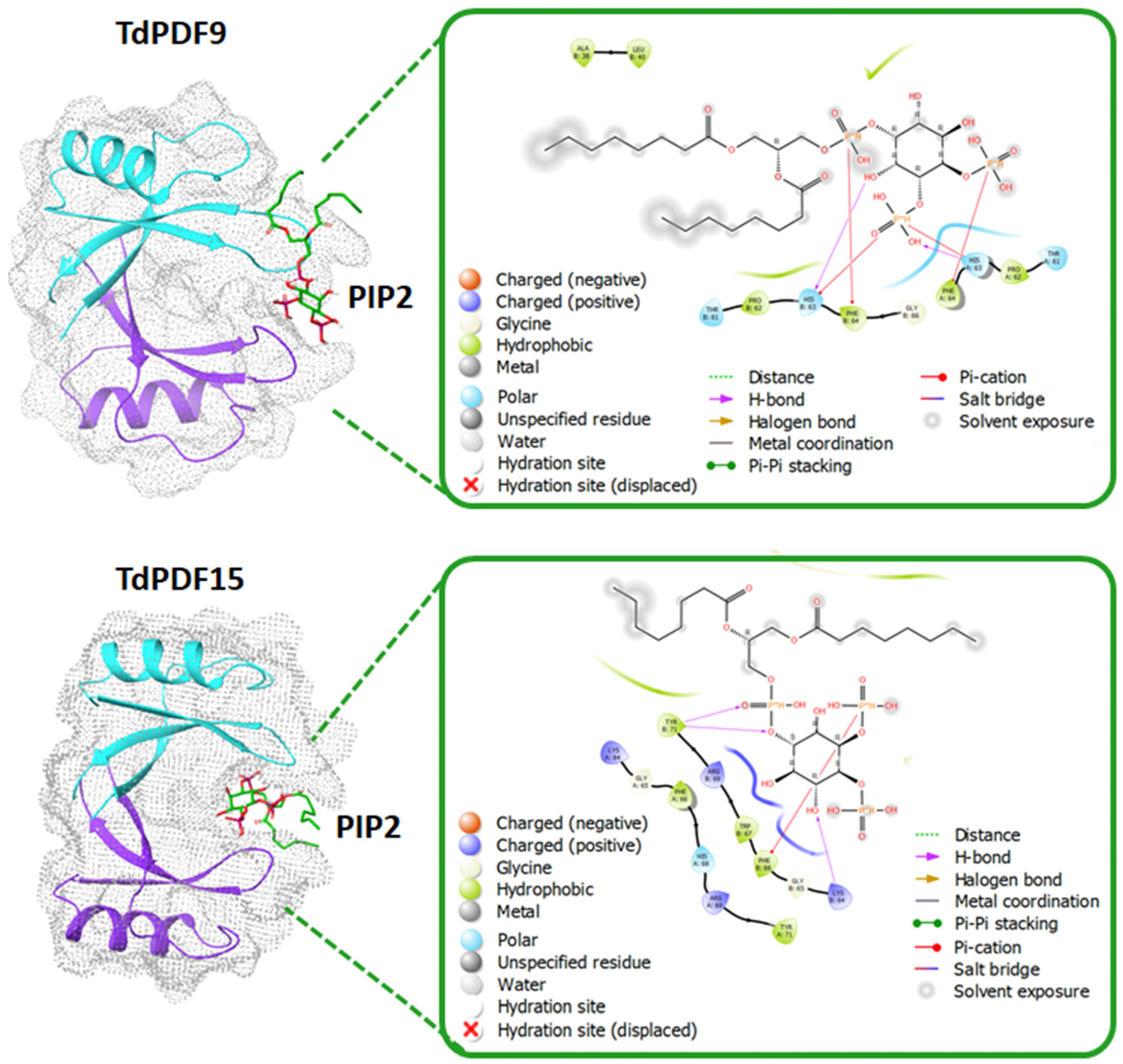 Biology 14 00404 g008