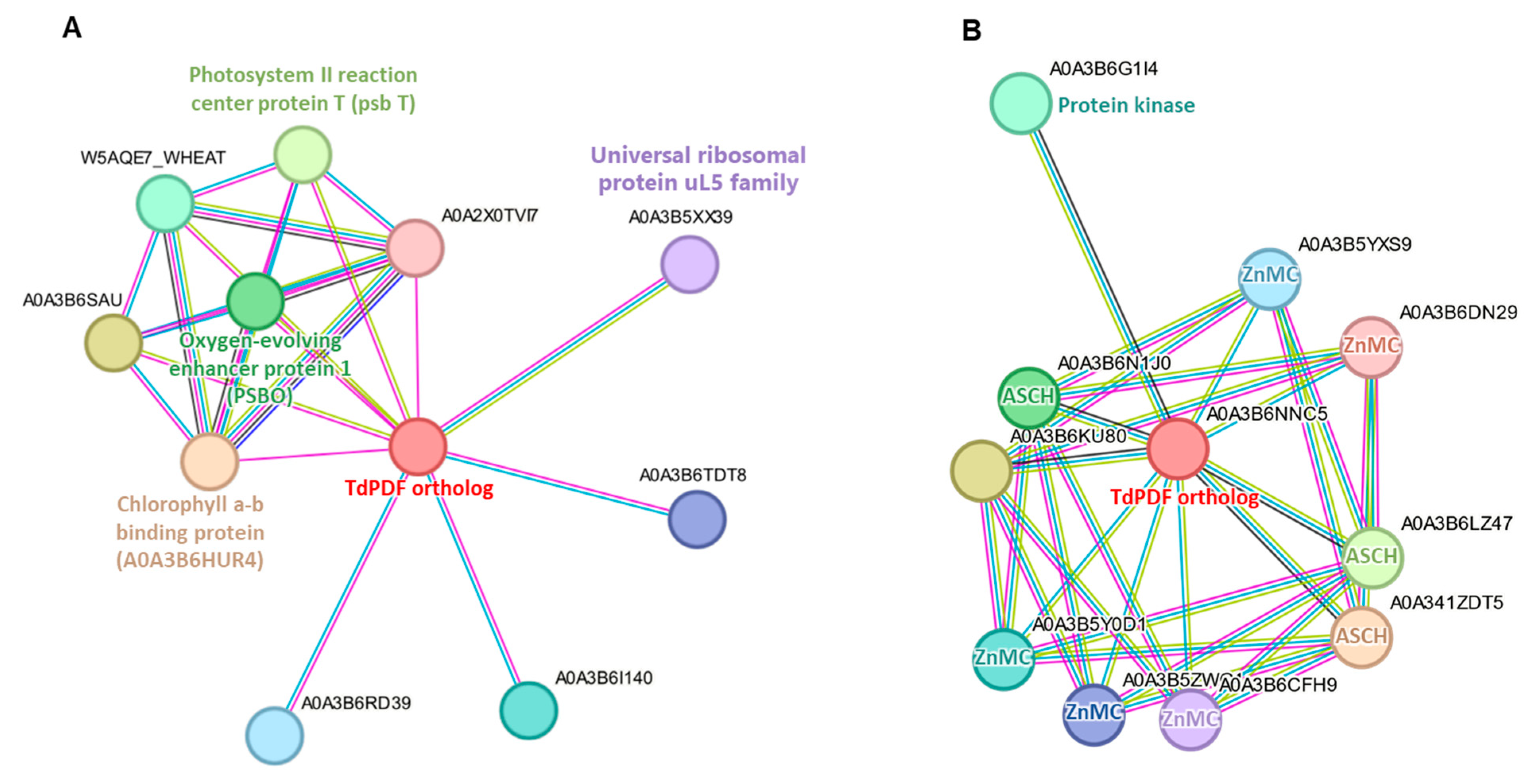 Biology 14 00404 g009