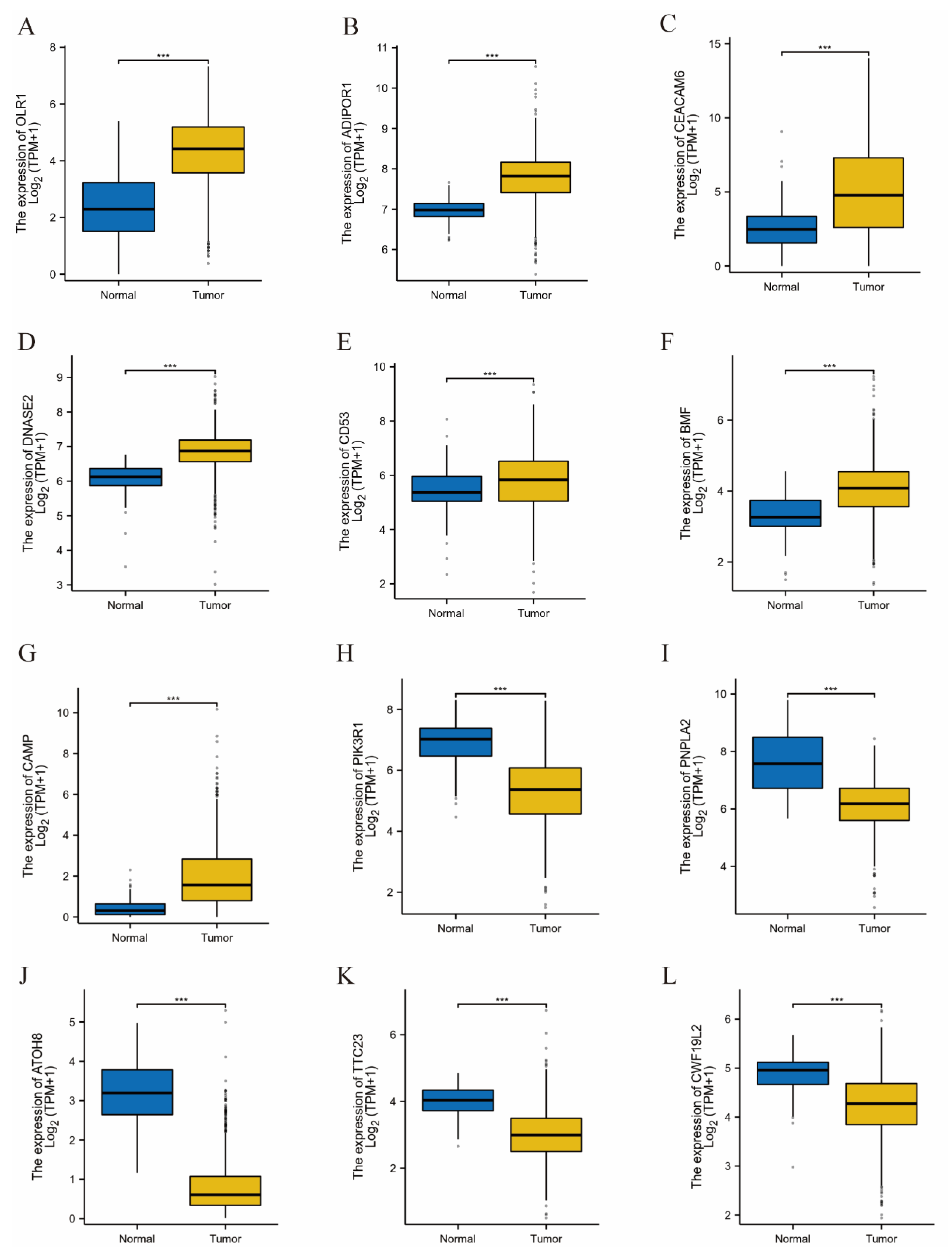 Biology 14 00405 g004