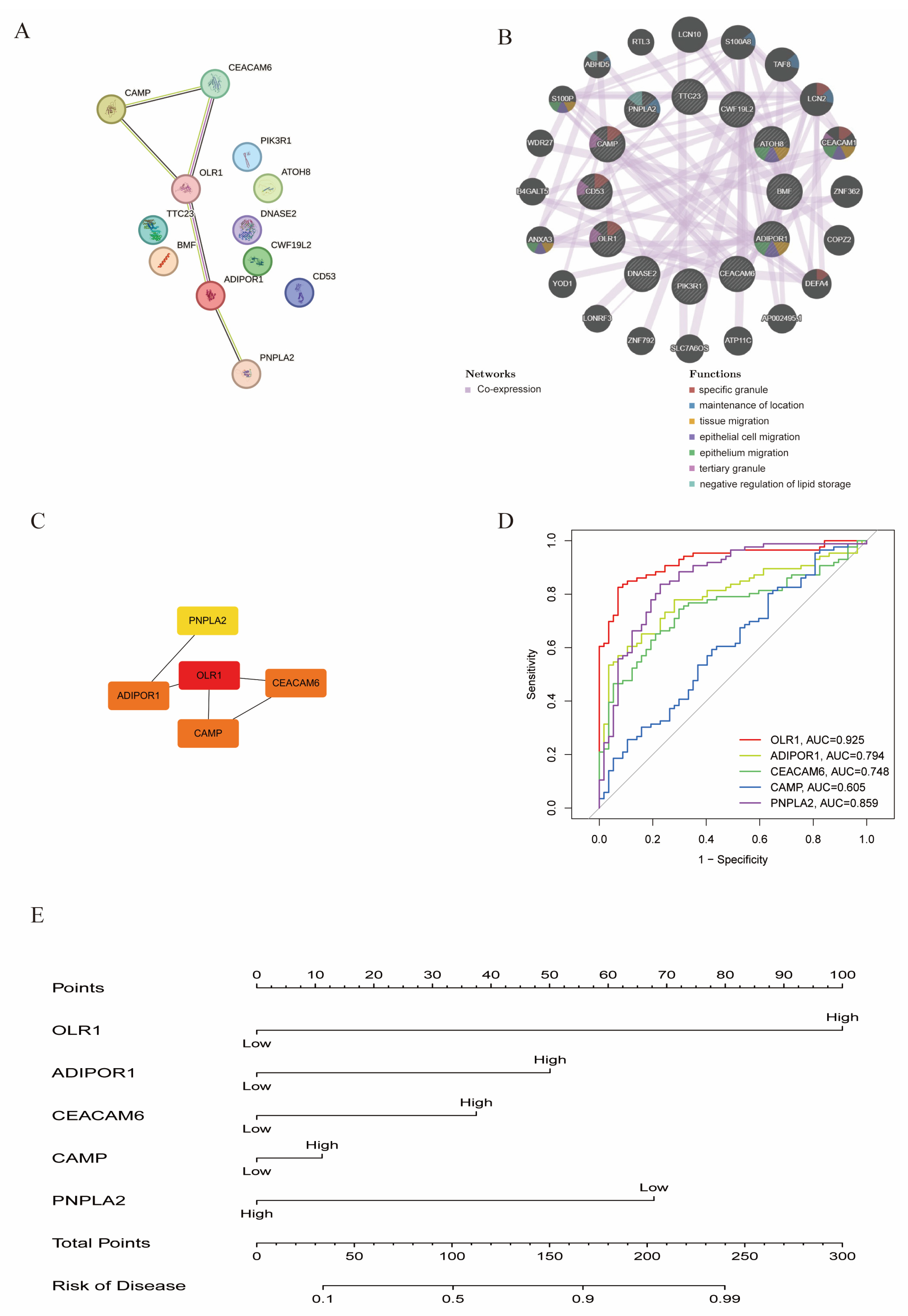 Biology 14 00405 g005