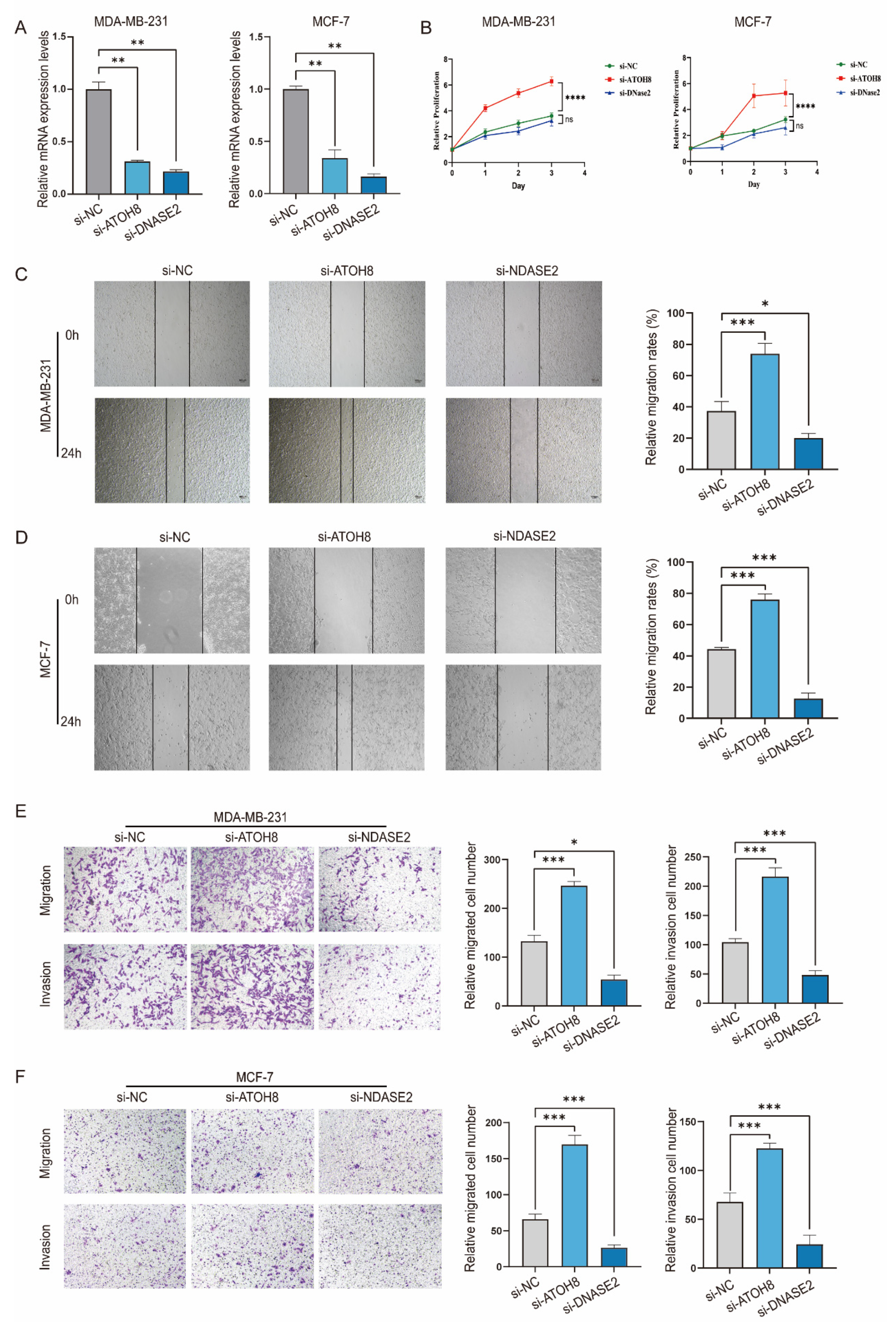Biology 14 00405 g006