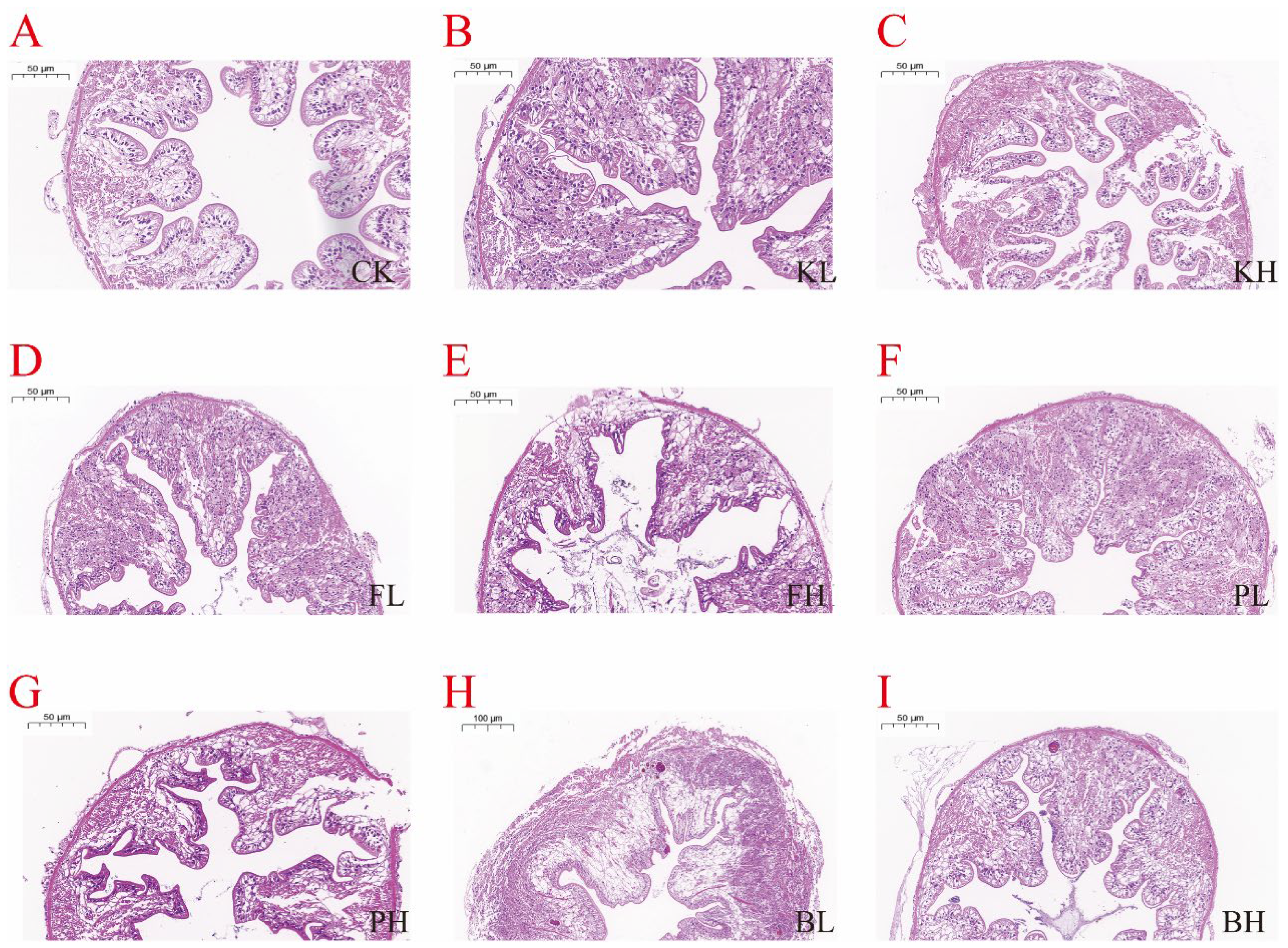 Biology 14 00407 g005