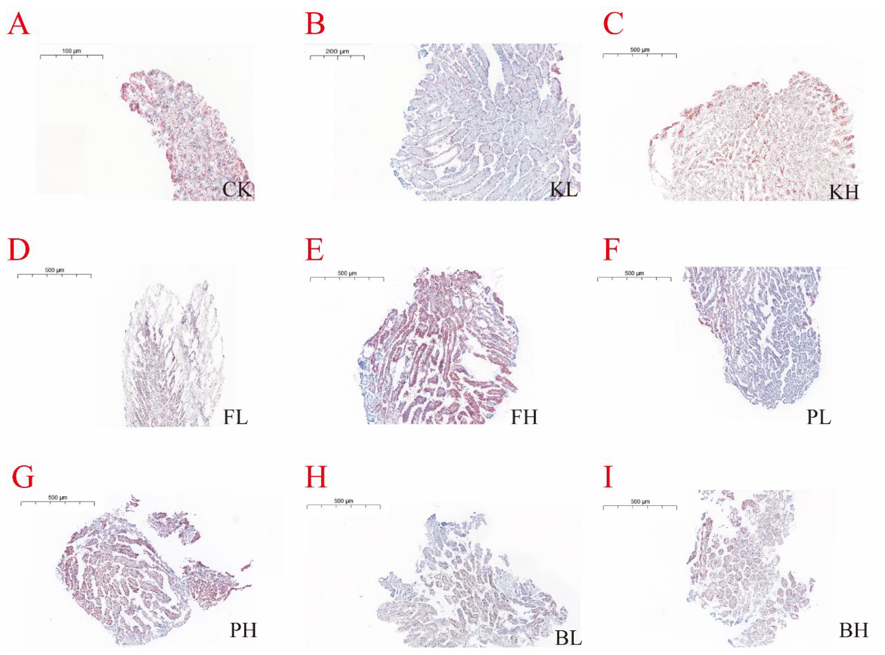 Biology 14 00407 g006