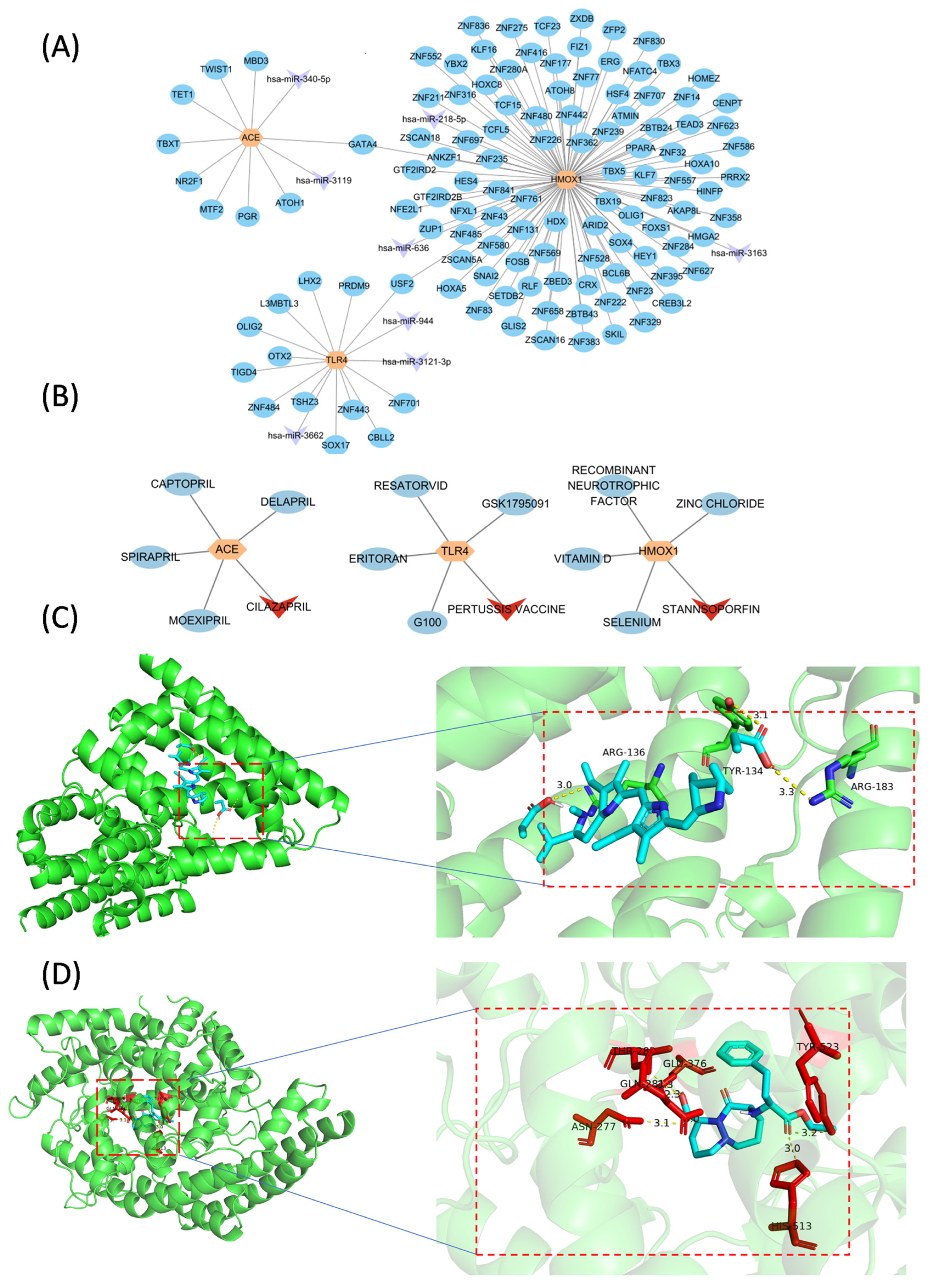 Biology 14 00409 g005