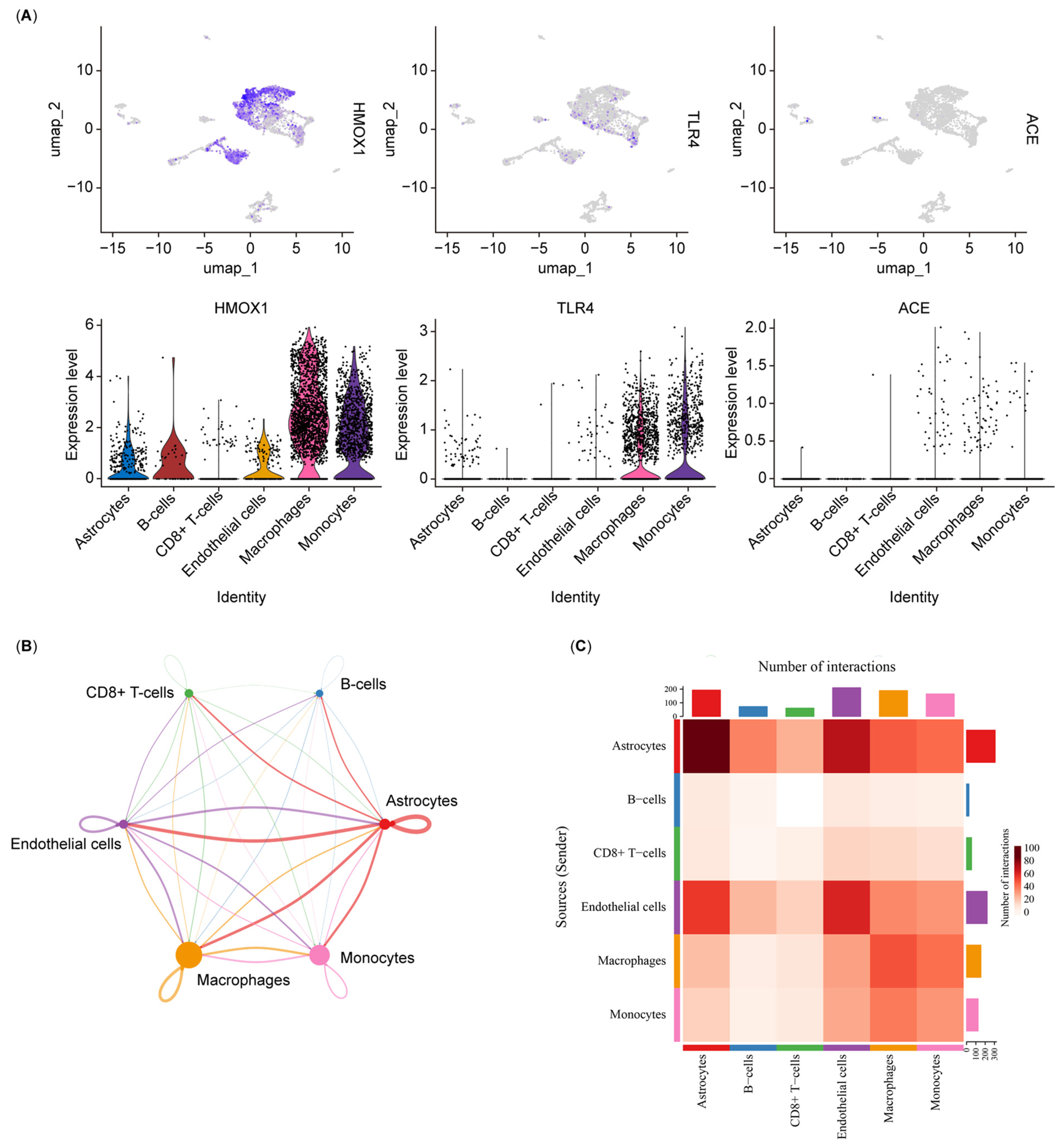 Biology 14 00409 g007