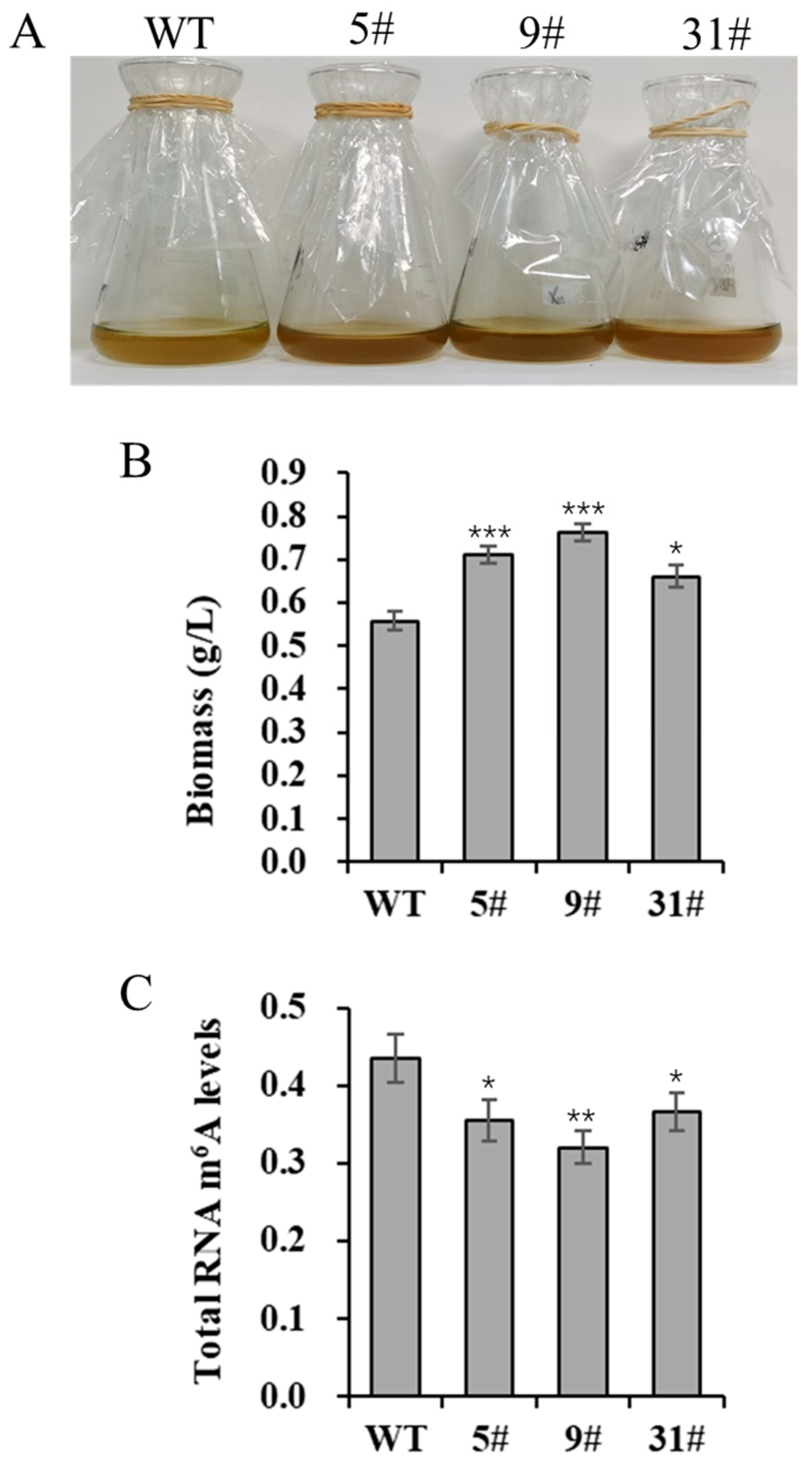 Biology 14 00414 g002